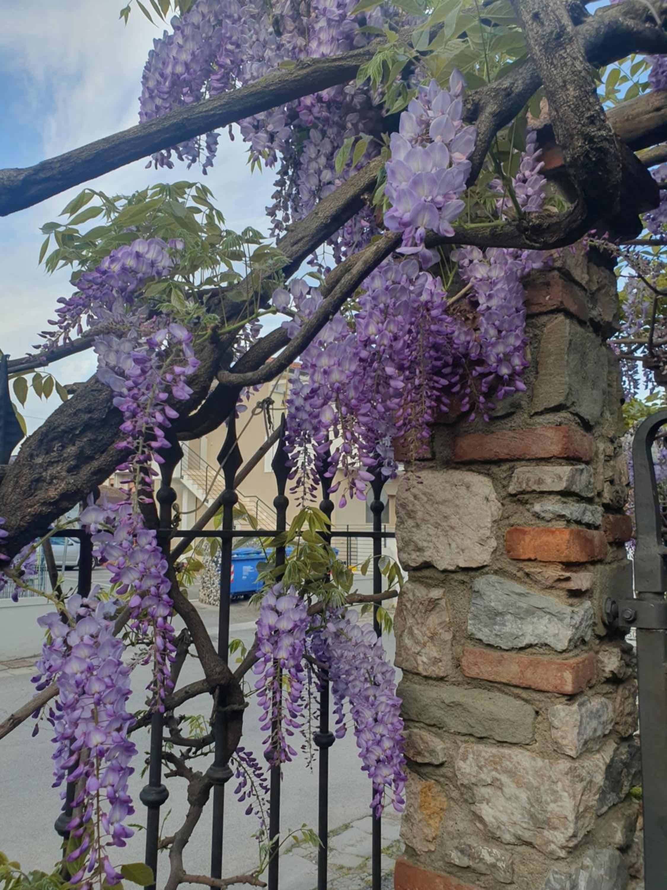Pietra E Glicine B&B