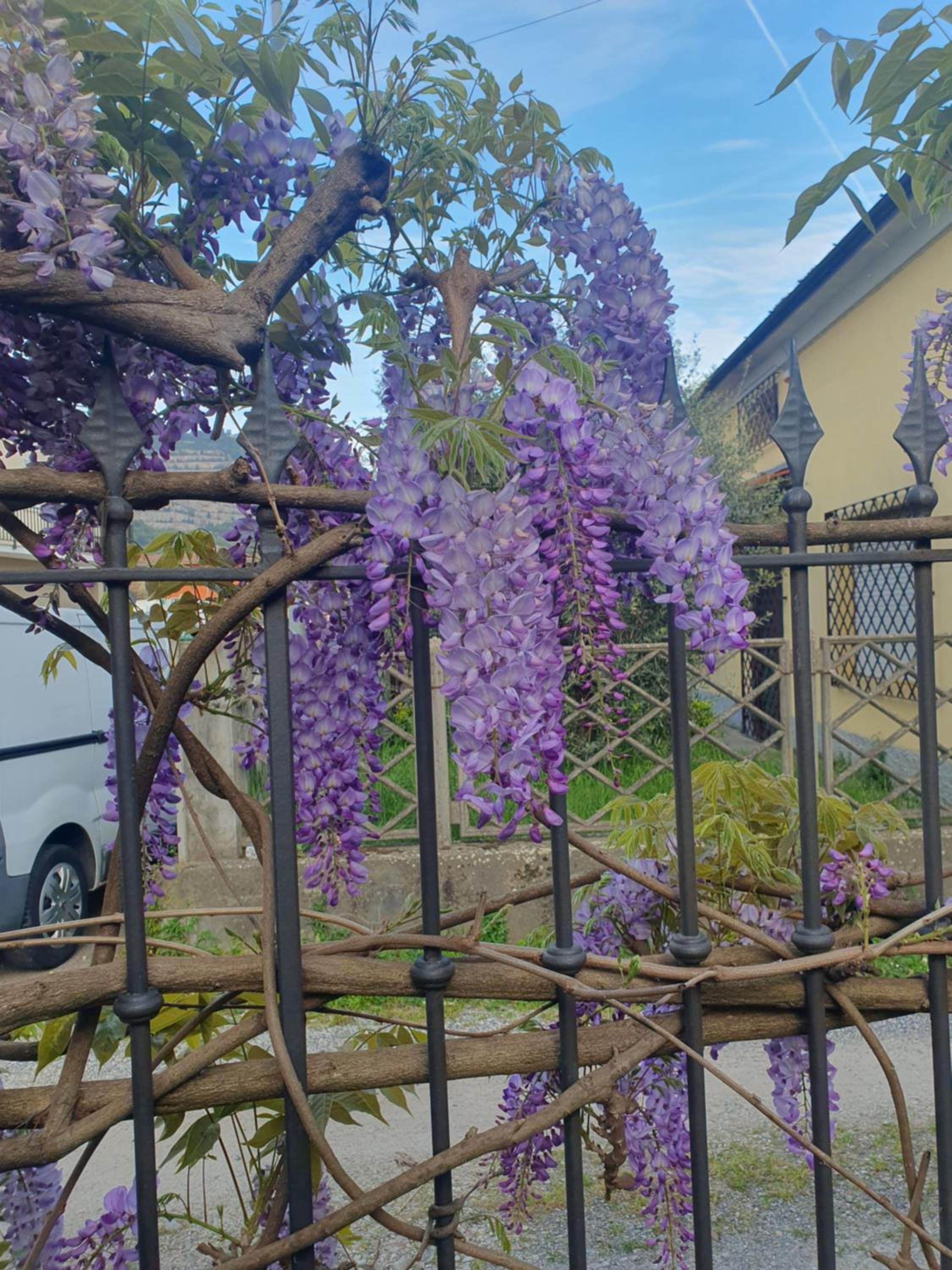 Pietra E Glicine B&B