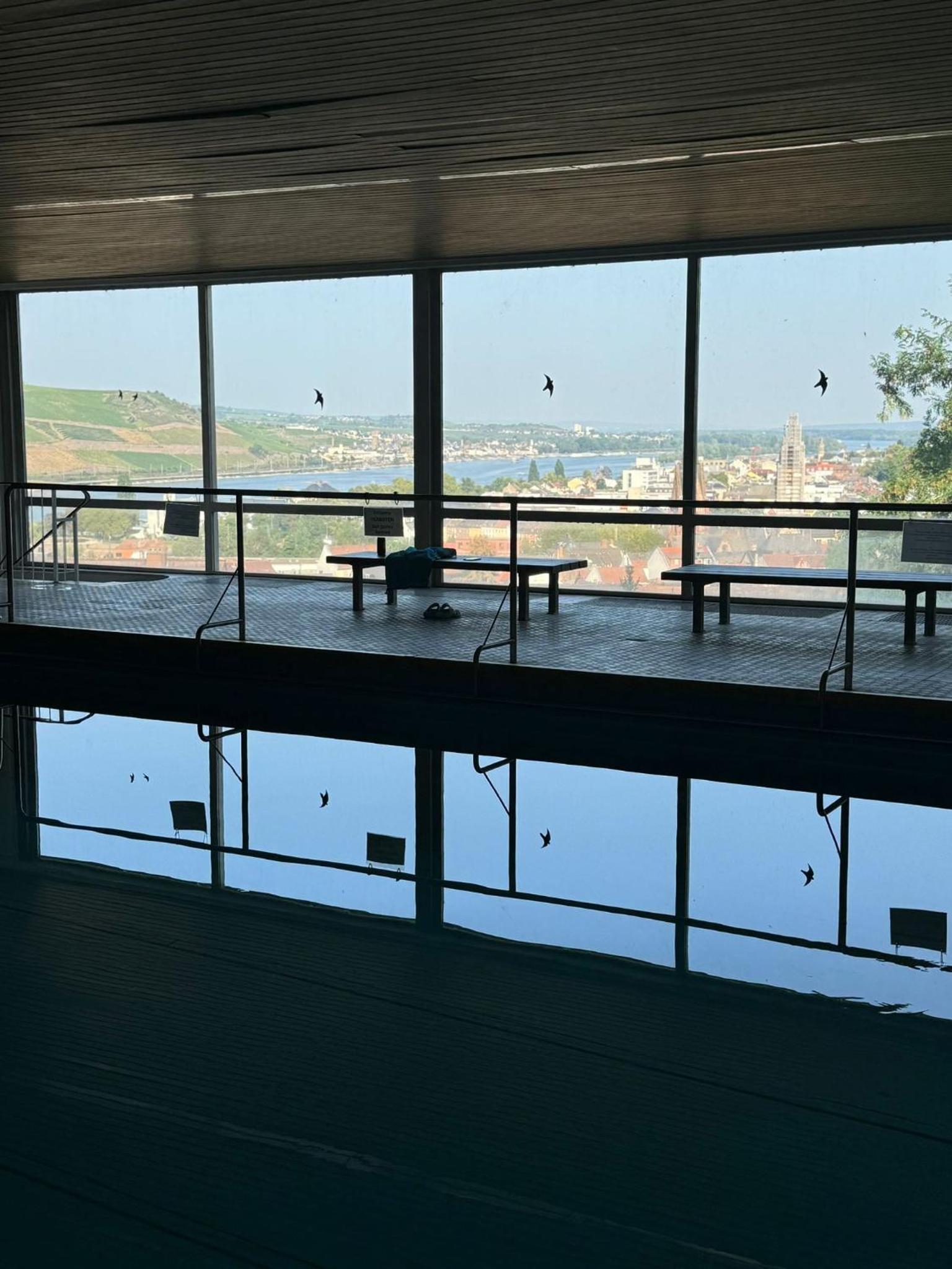 Ferienwohnung Bingen