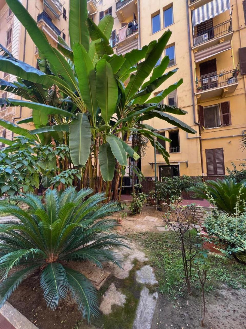 Blue Garden Apartment