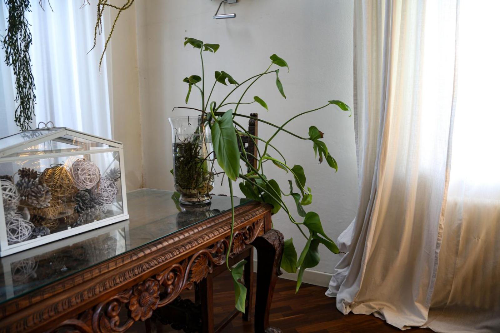 Pietra E Glicine B&B
