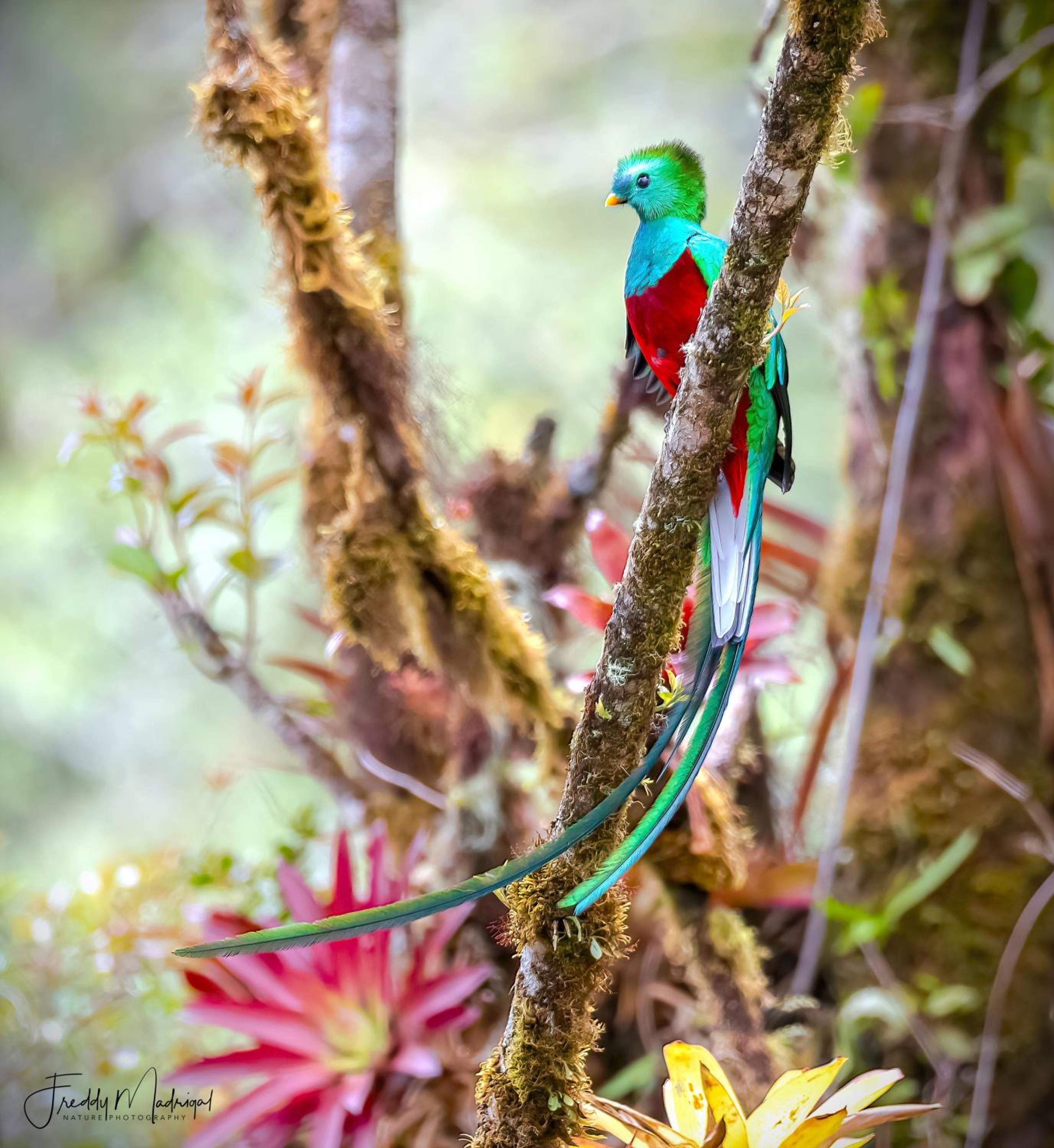 S Natura Birding and Photography