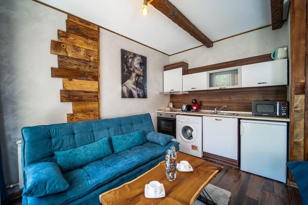 650m Ski in&out - Studio - FREE SPA and Parking