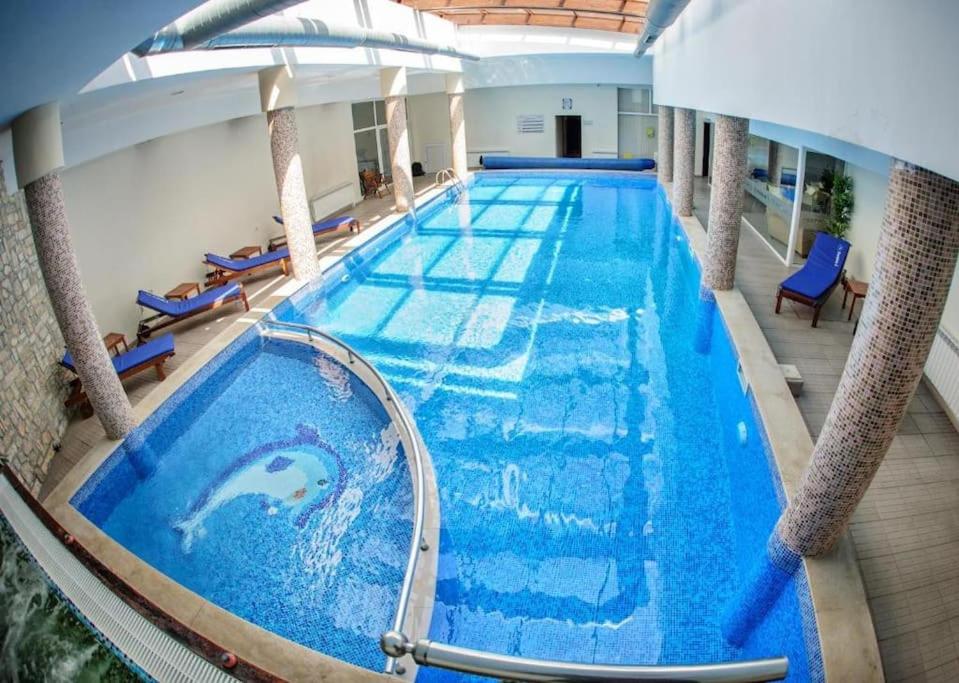 650m Ski in&out - Studio - FREE SPA and Parking