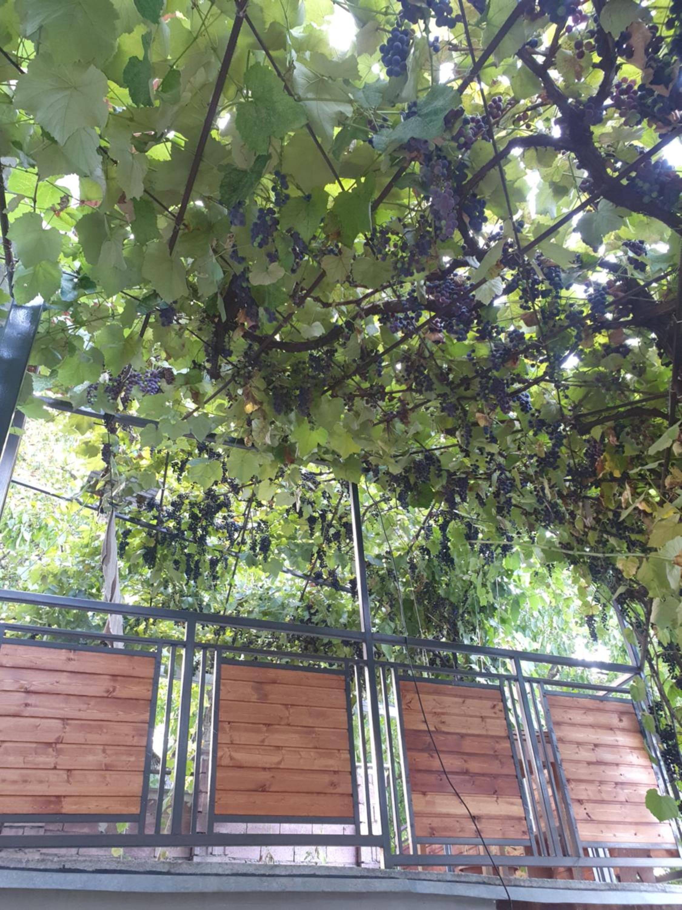 Guest House Riverside