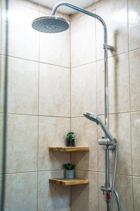 Mountain Studio - Ski in and out - FREE Spa
