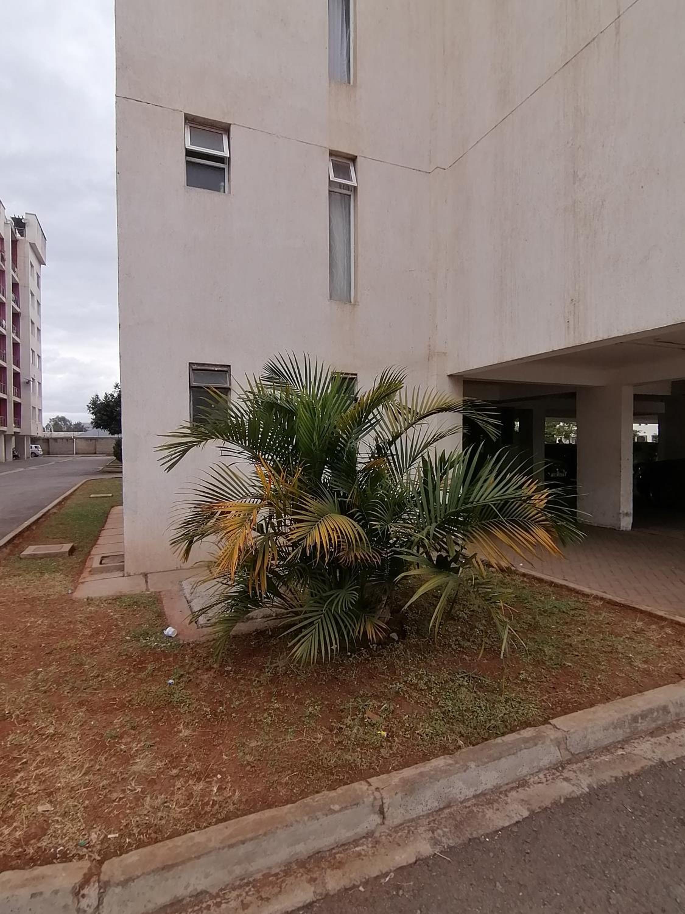 Classy Studio Apartment racecourse Gardens