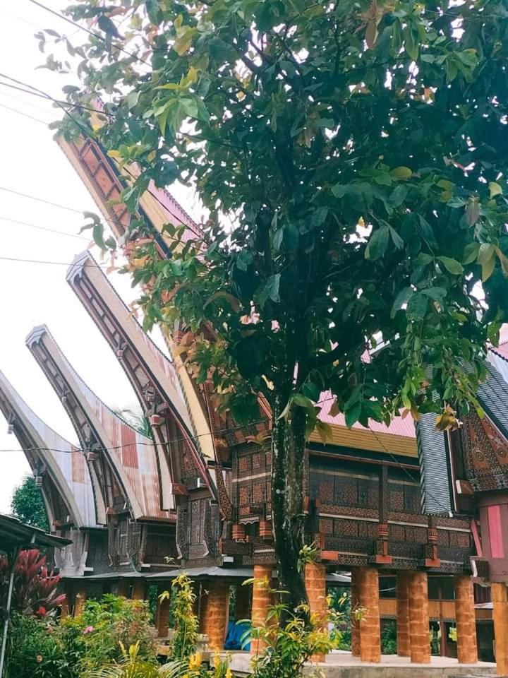 Paul’s Homestay view 5