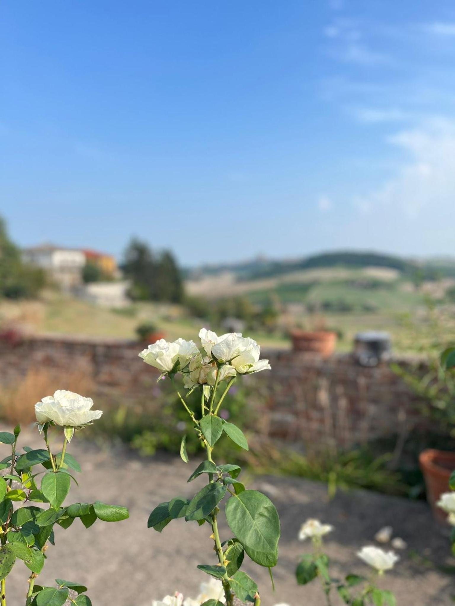 Casa Vacanze Pirulla