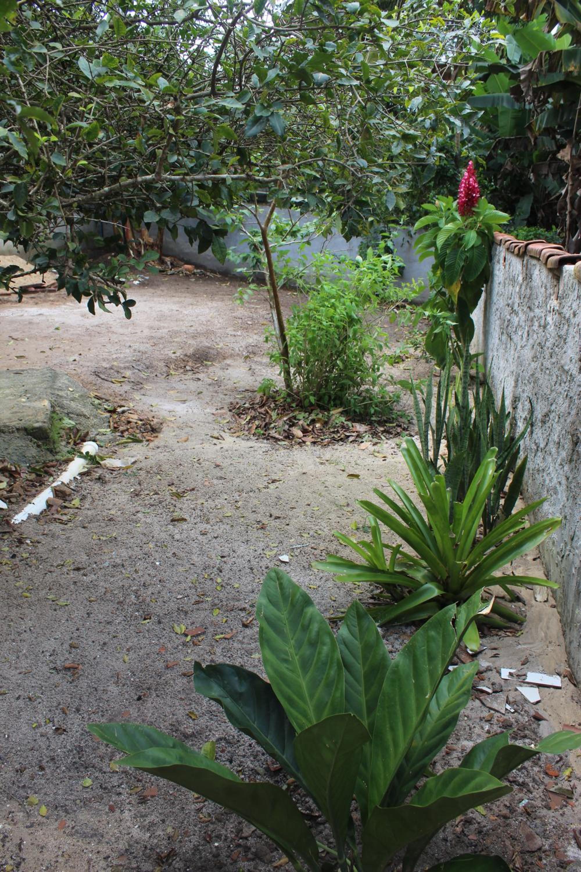 Casa Passarinhos
