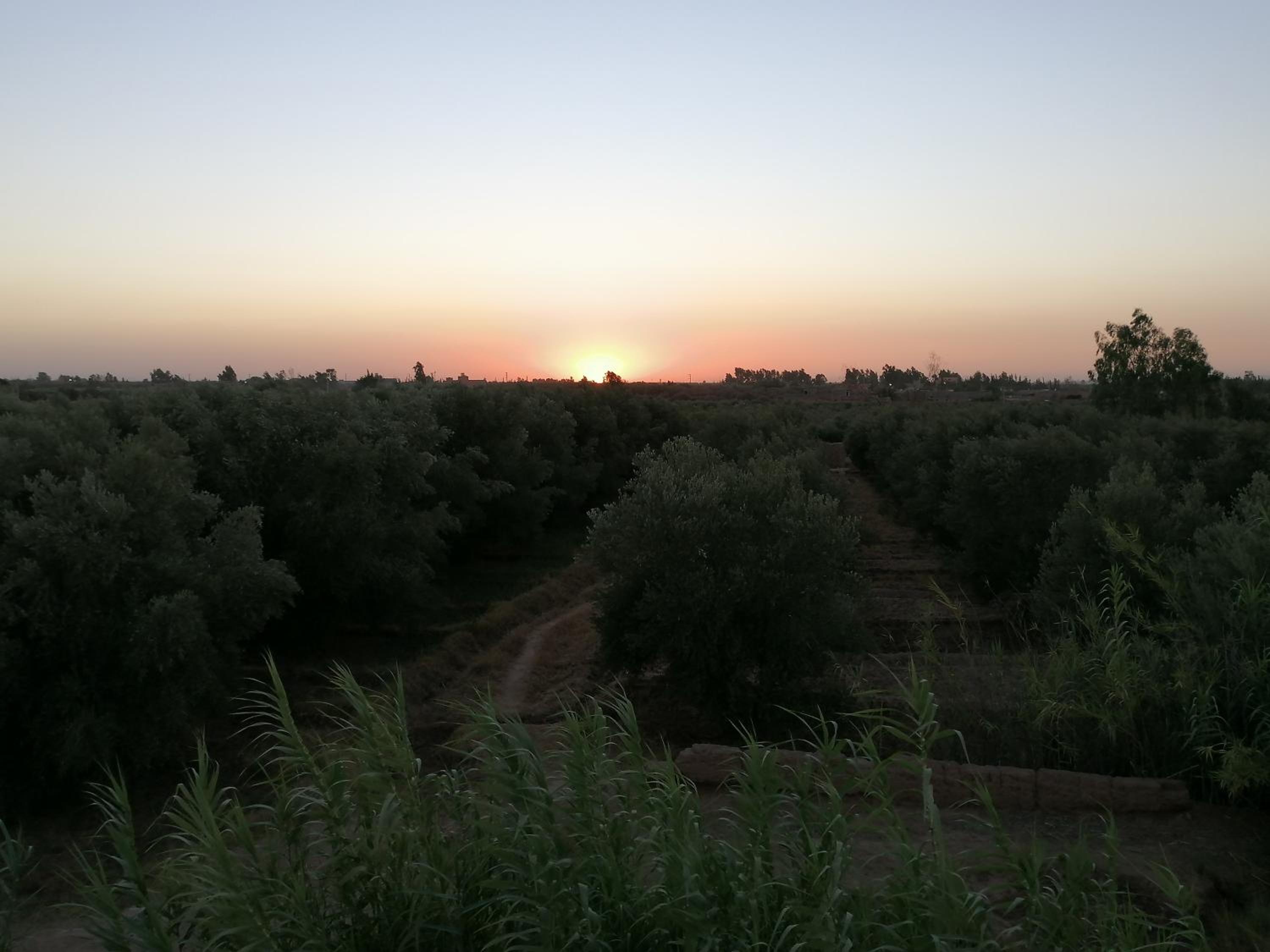 Photo 35