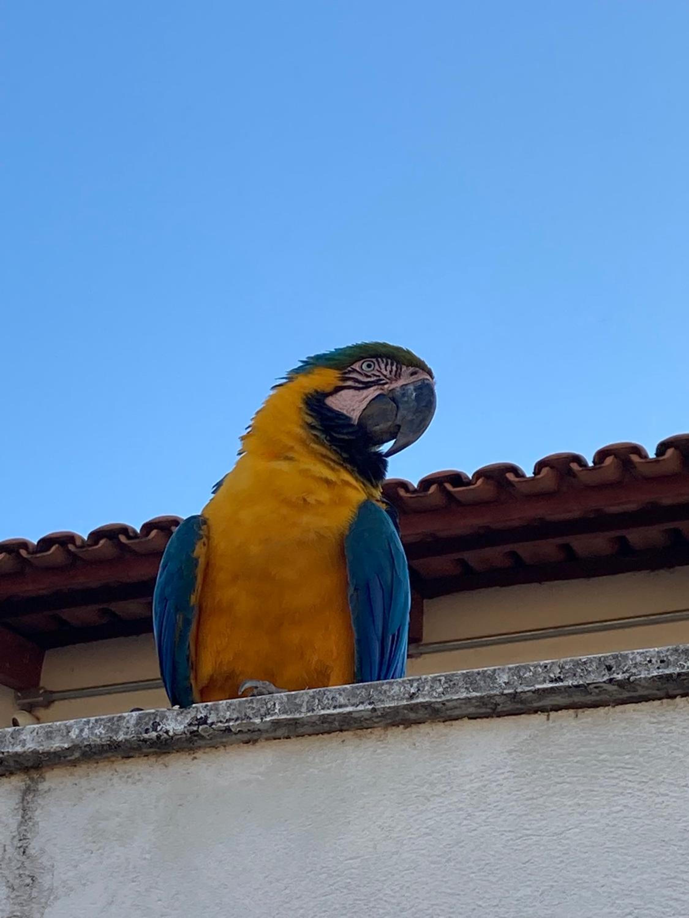 Sitio do Castelinho