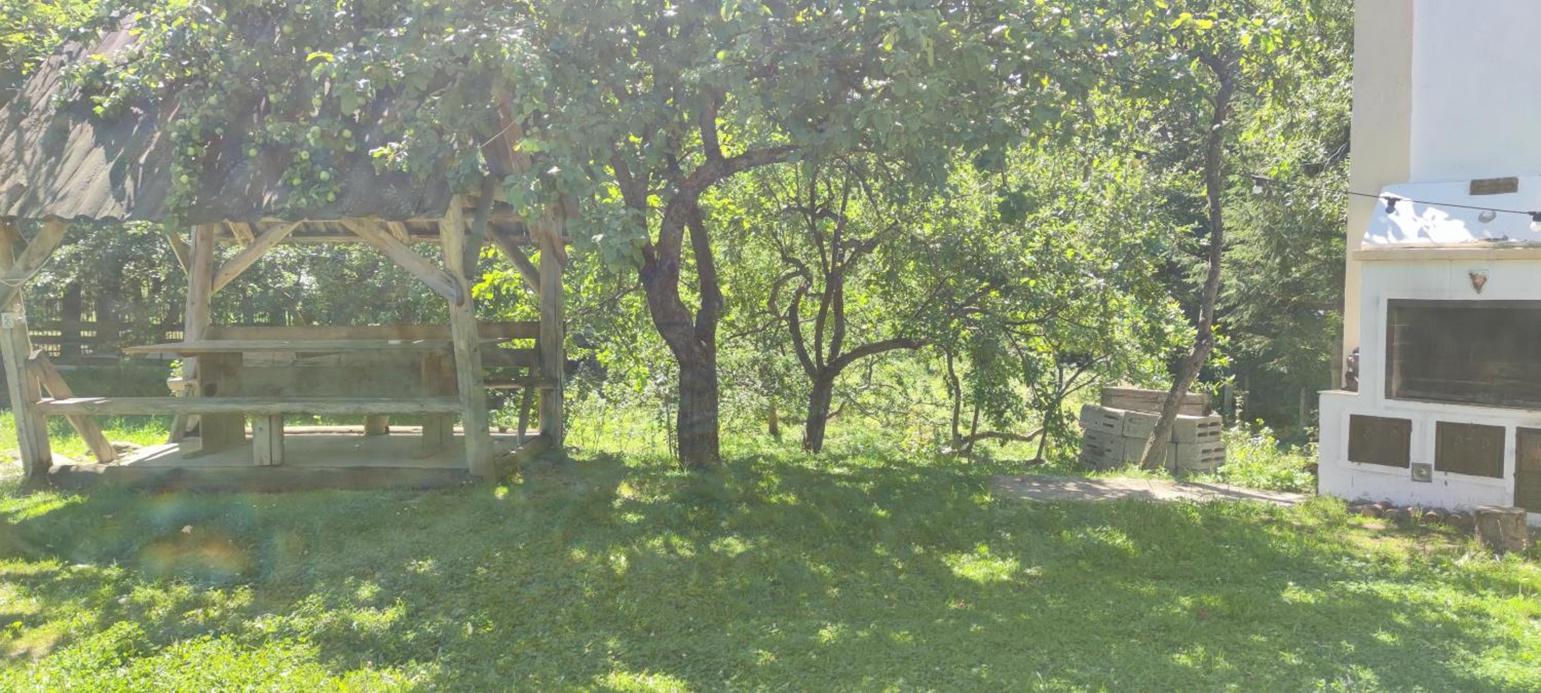 Photo 37