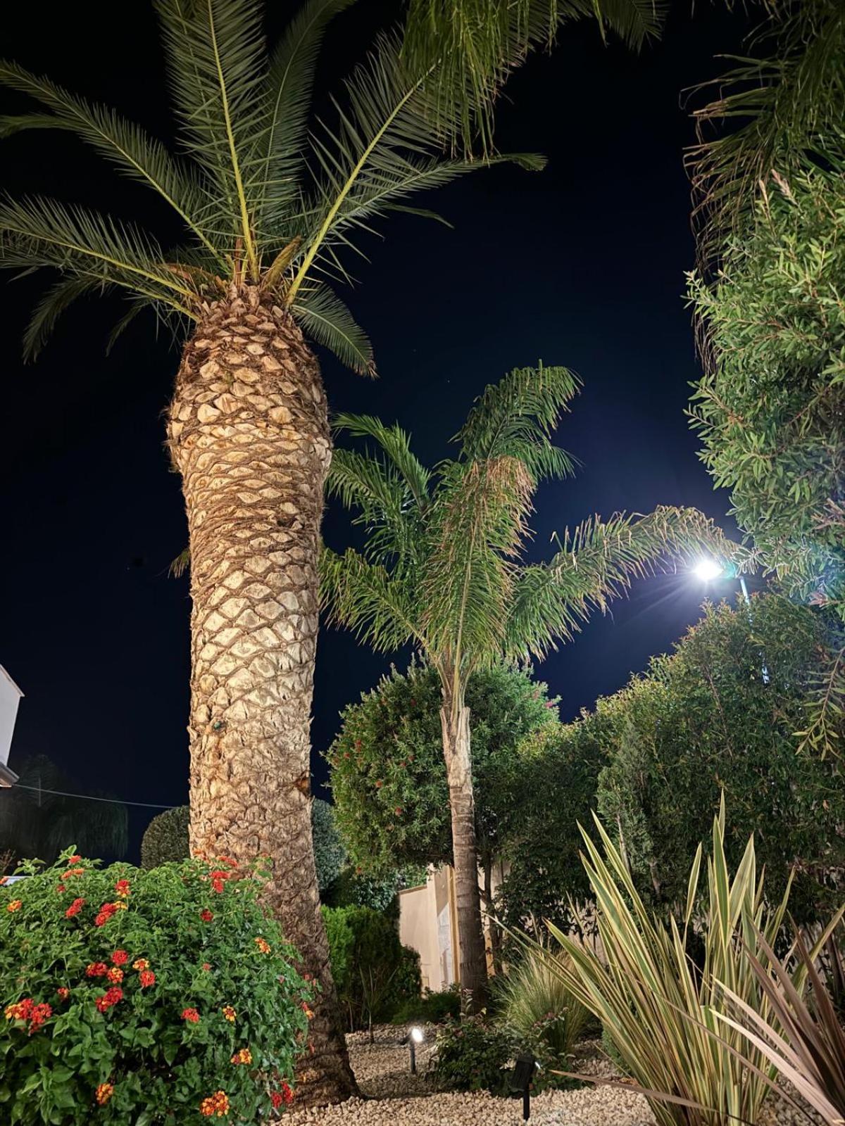 Photo 49
