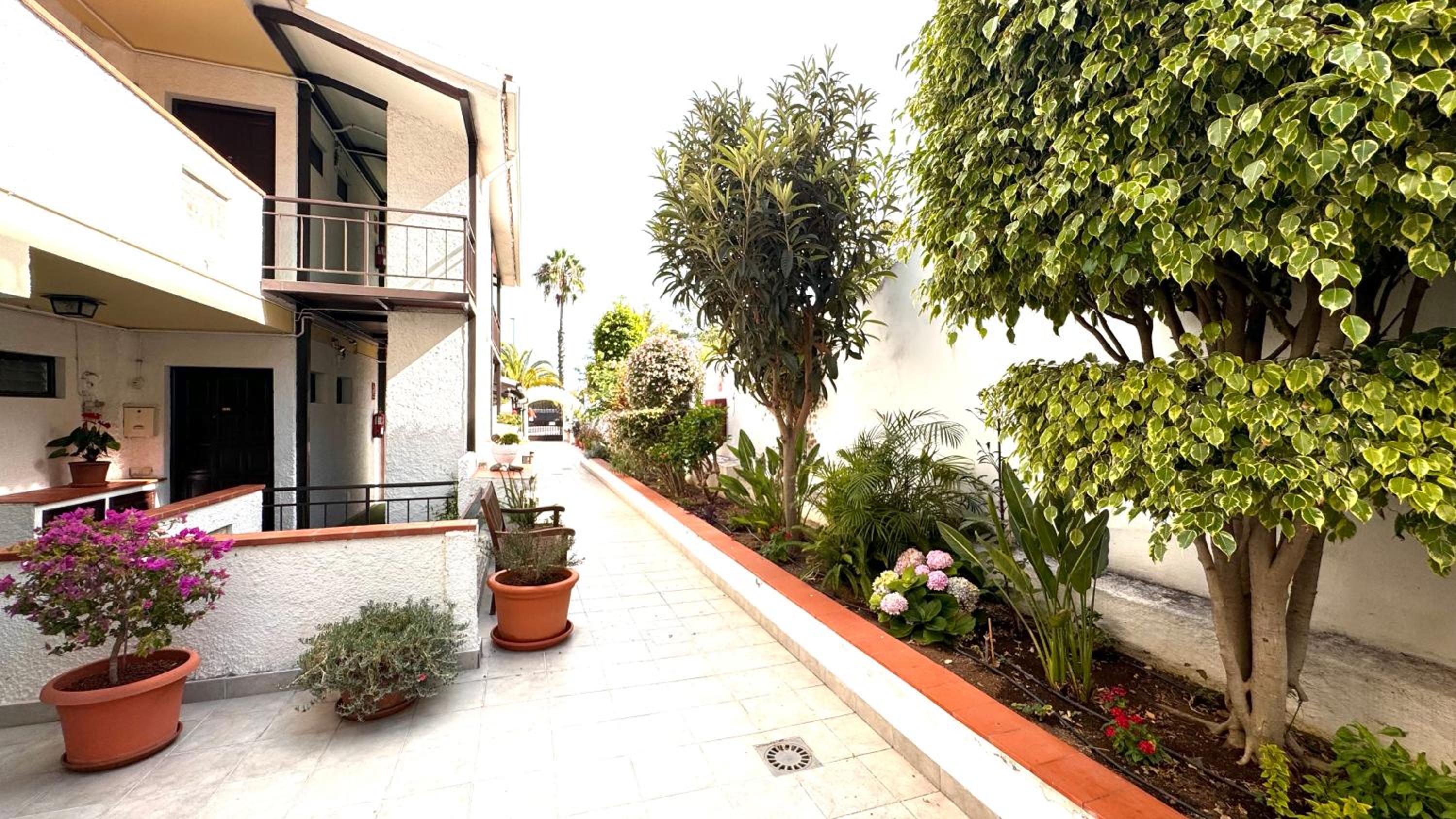 Casa Flor