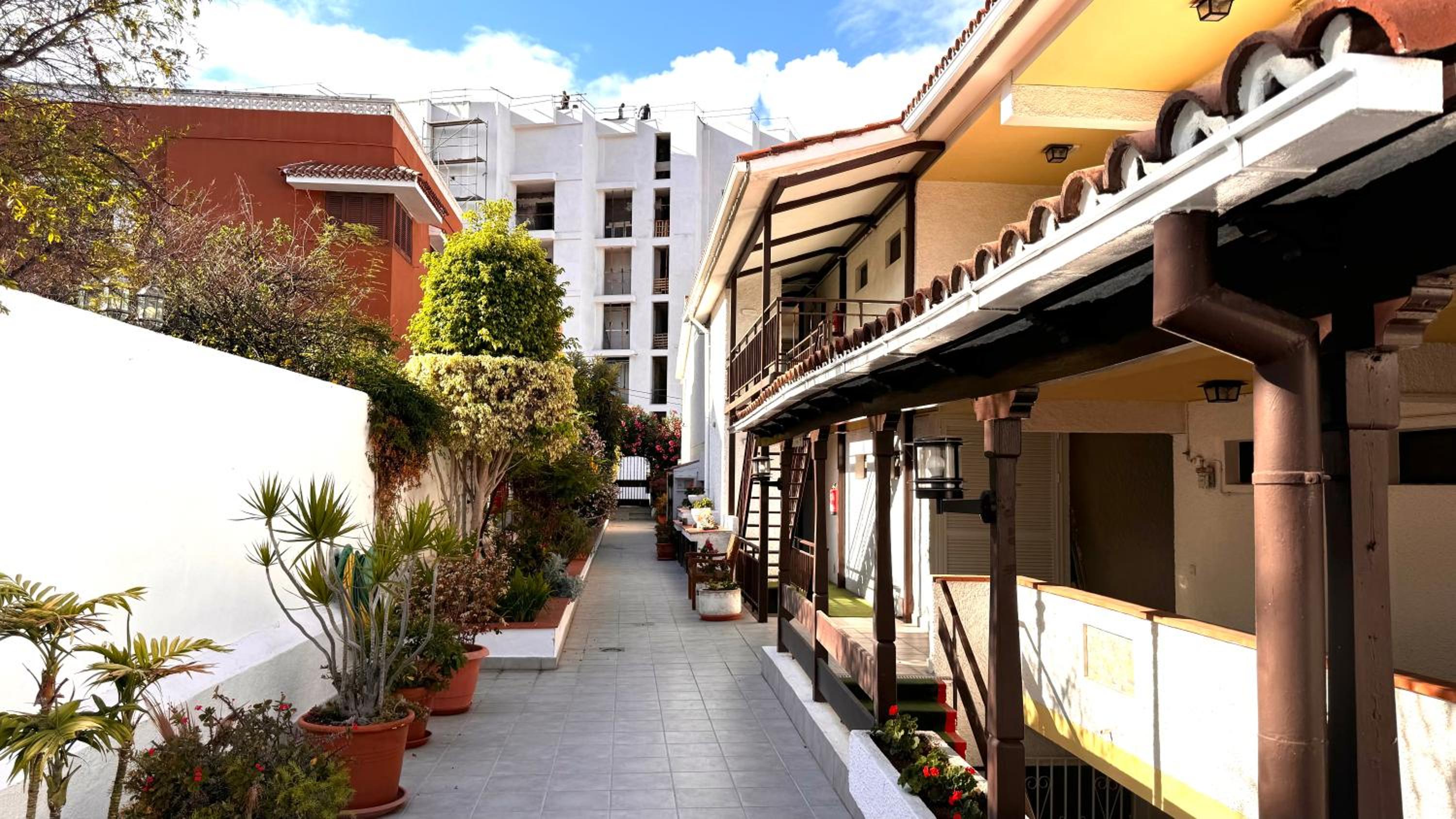Casa Flor