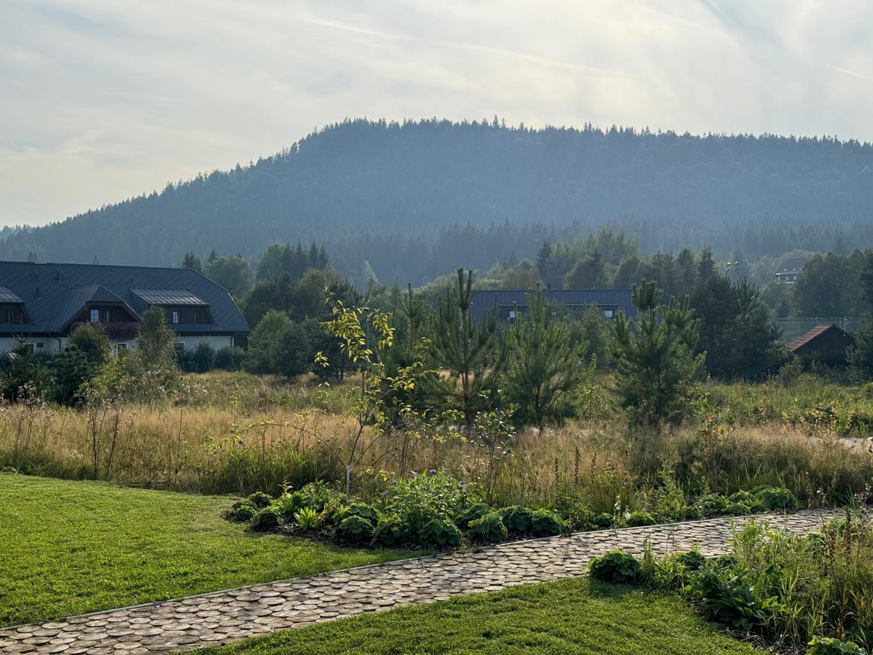 Apartmány Černý vlk, Borová Lada view 5