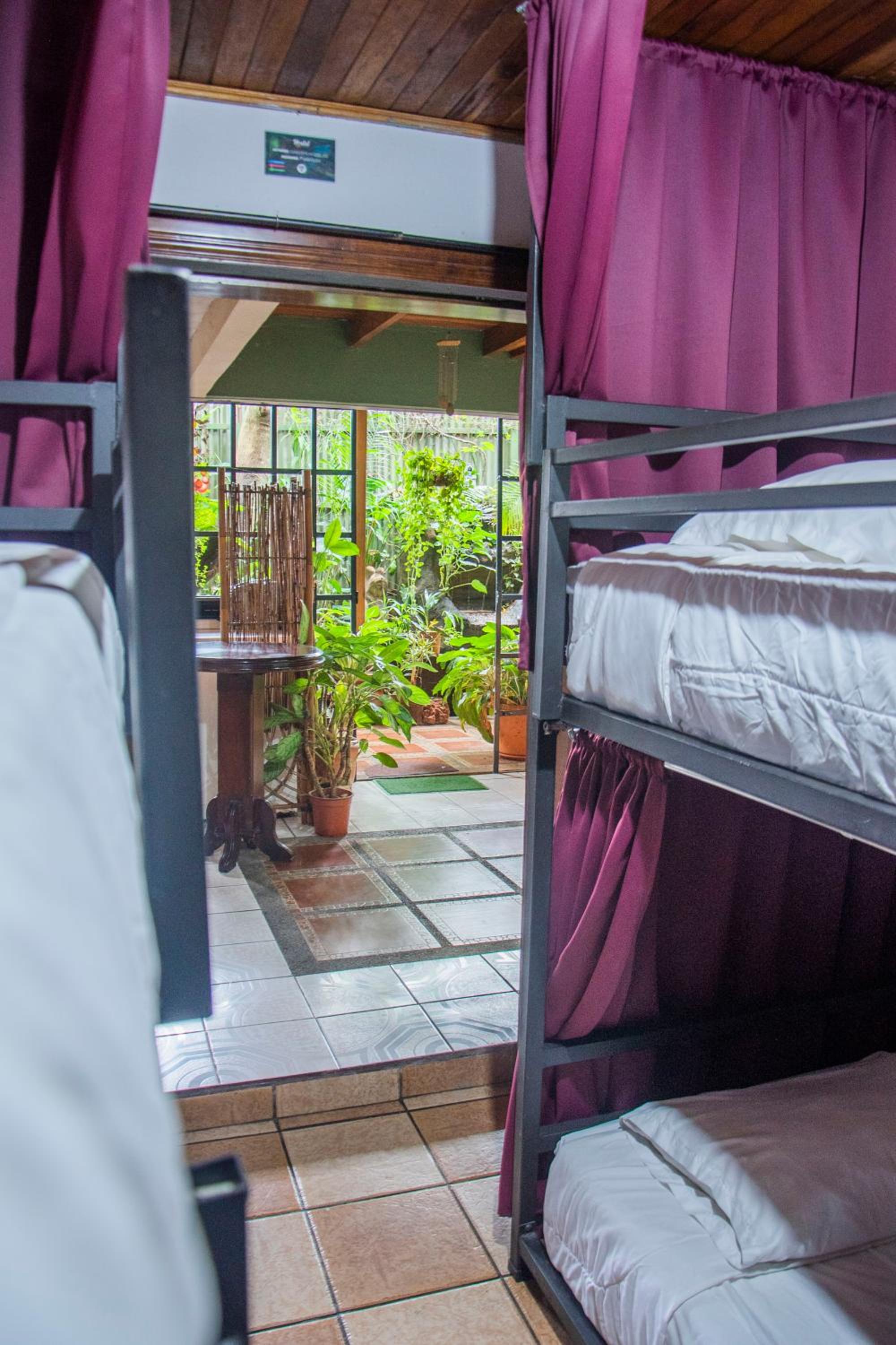 Gardens House, Airport Juan Santamaría, Alajuela, San José, photo 18