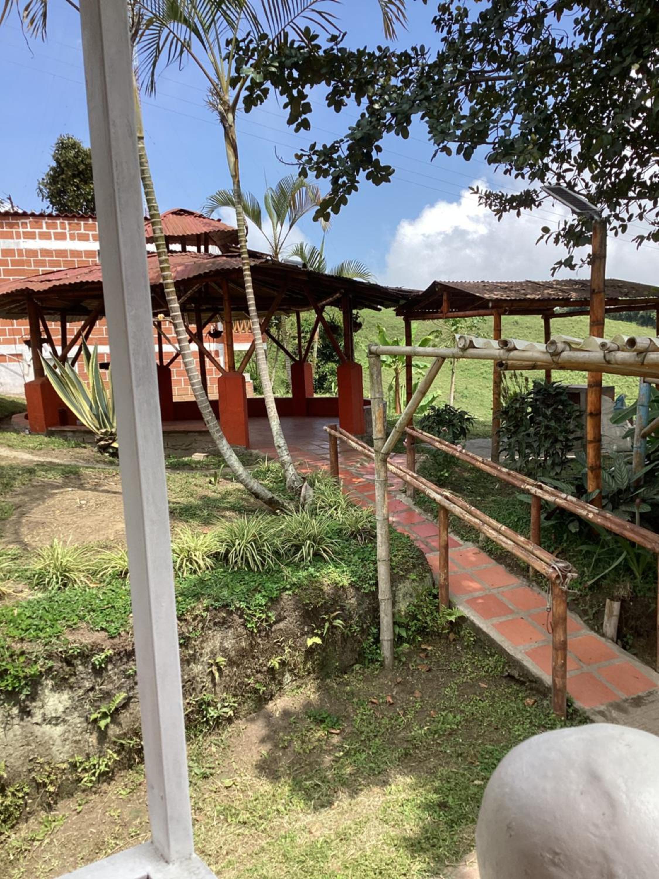 Bella vista