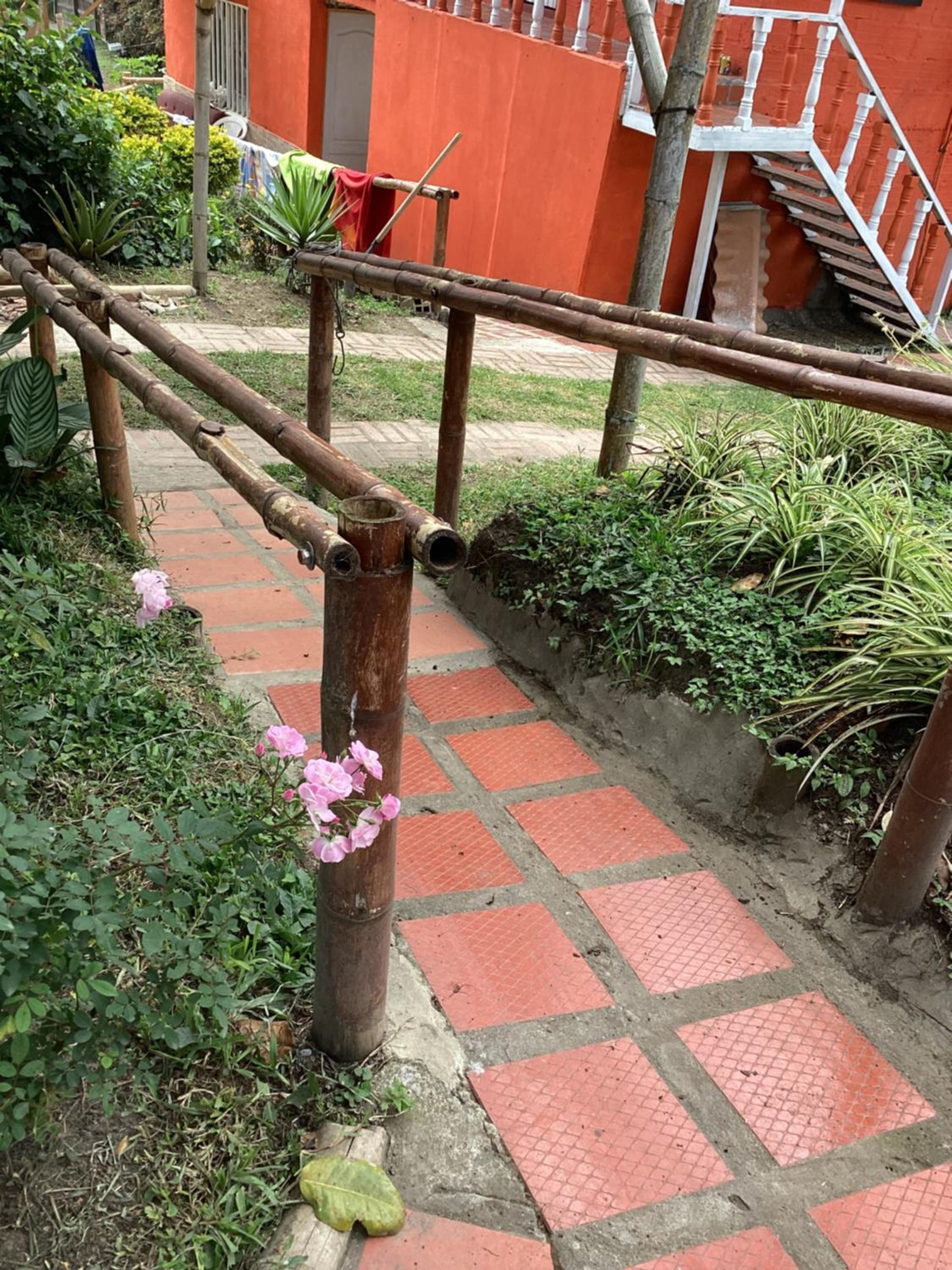 Bella vista