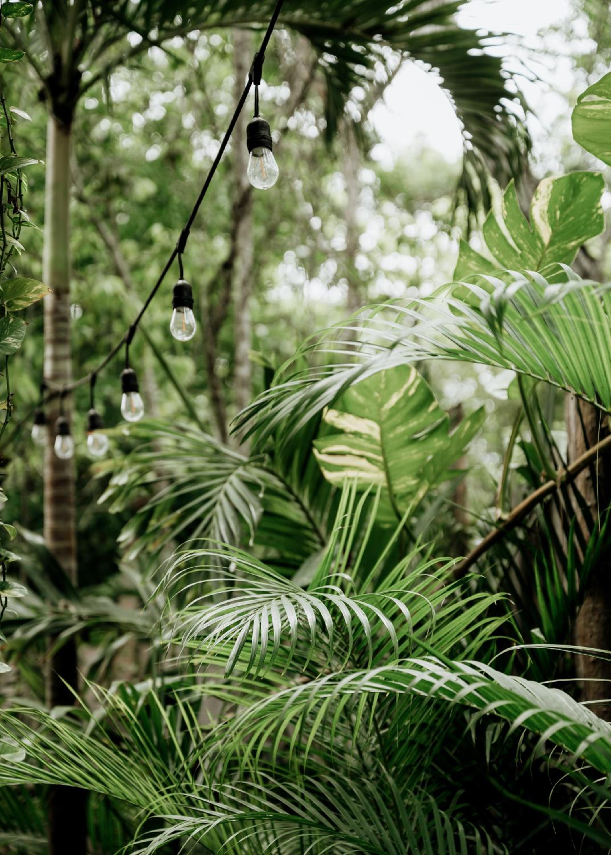 Jungle Boho Villa "Coco" - Pv Pool - BBQ - Concierge 5A view 4