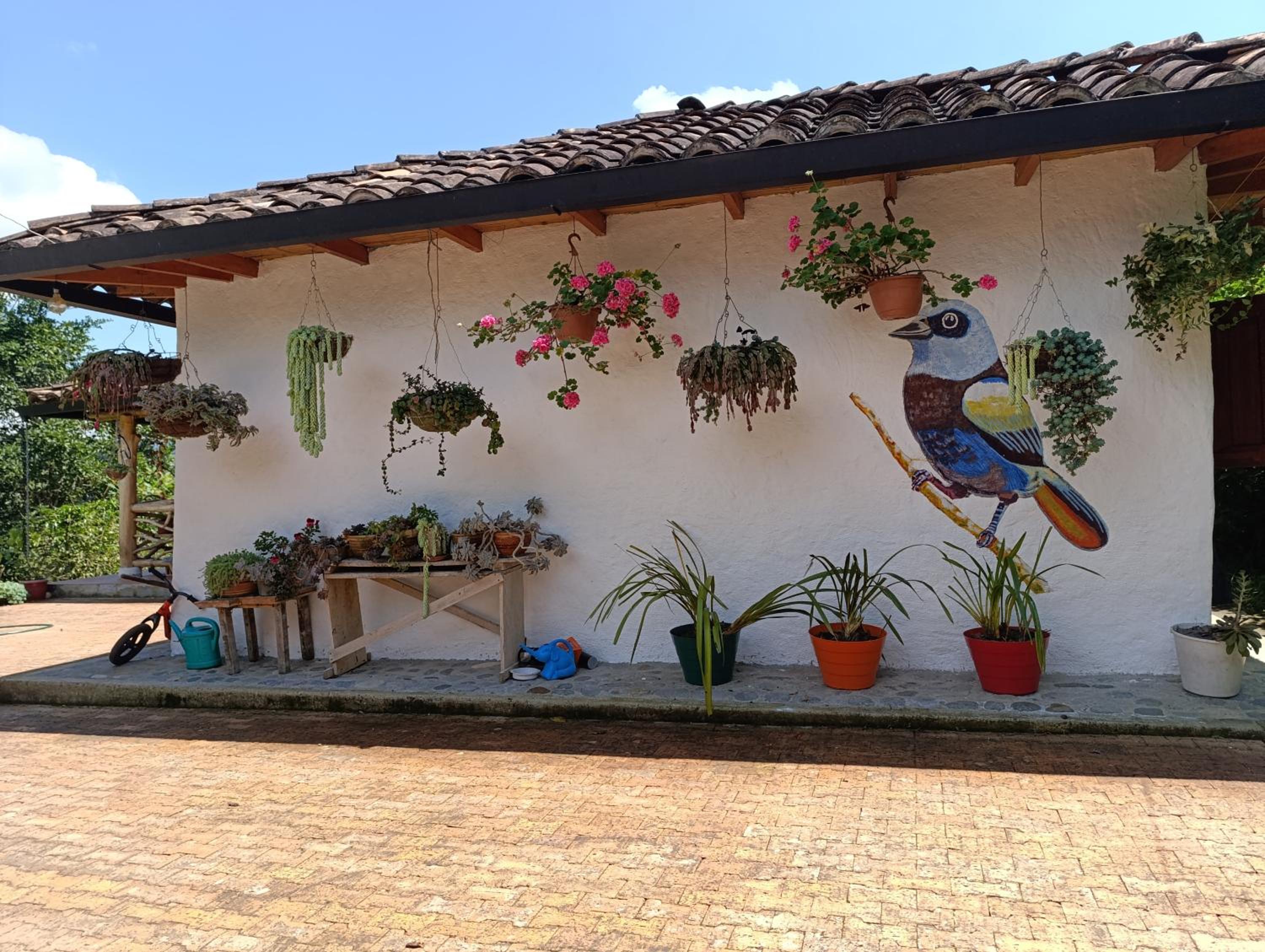 Cabaña Ecológica Finca Cometa