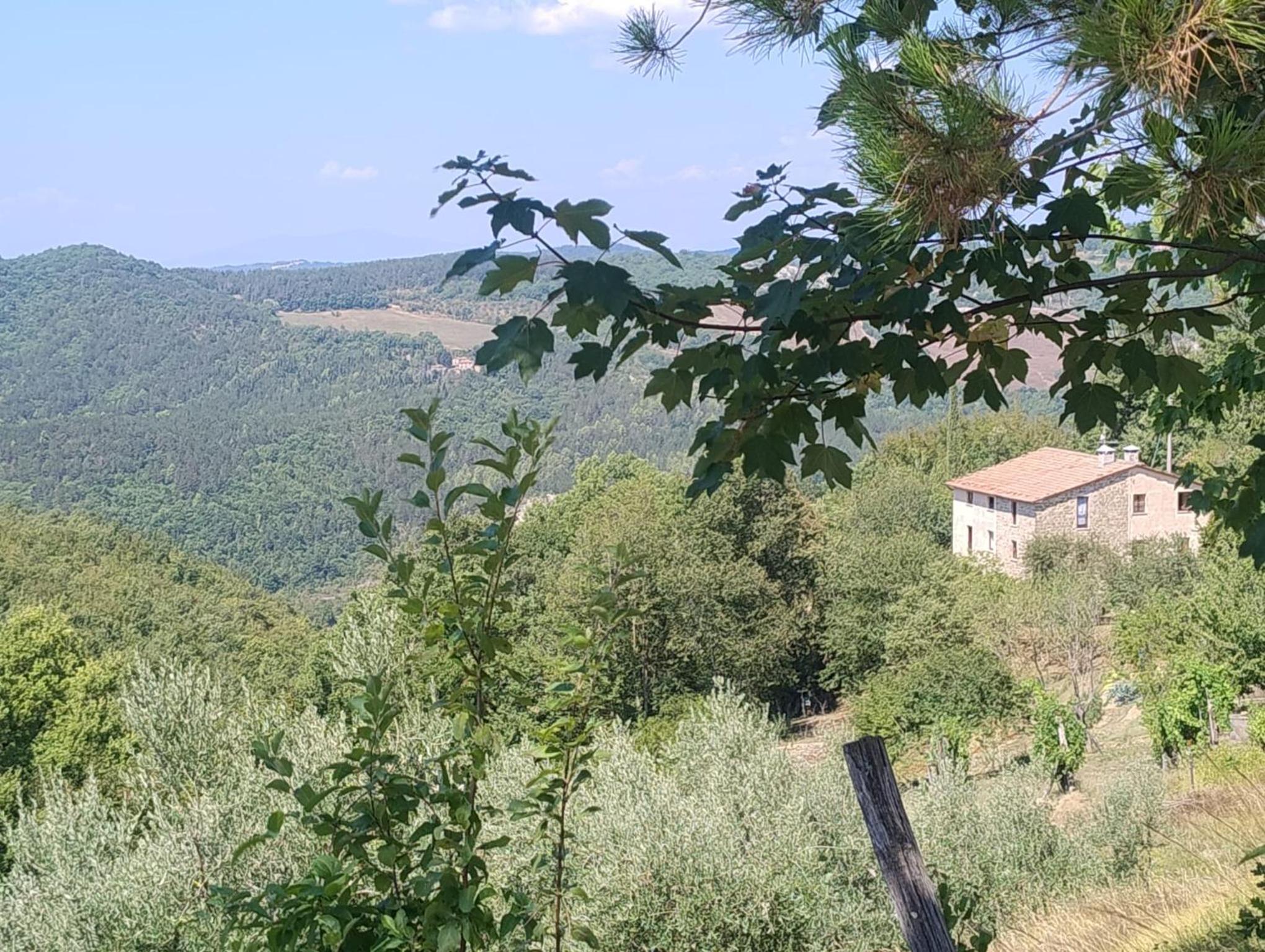 Photo 34