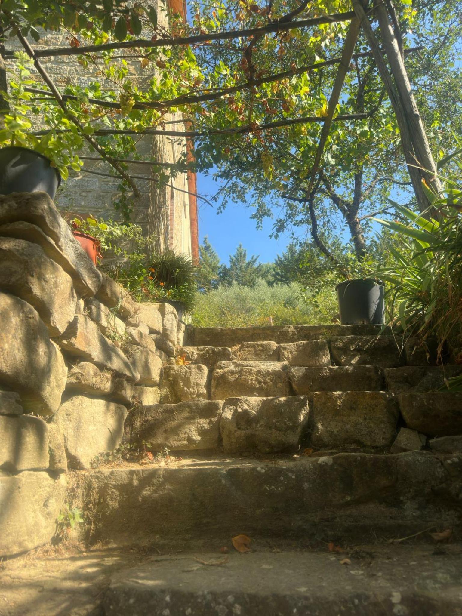 Photo 32