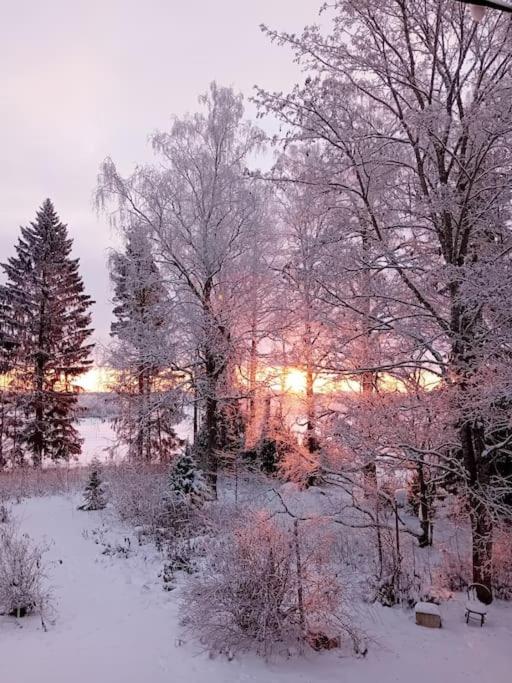 Loma tai perhejuhlat Bobackan pihatorpassa