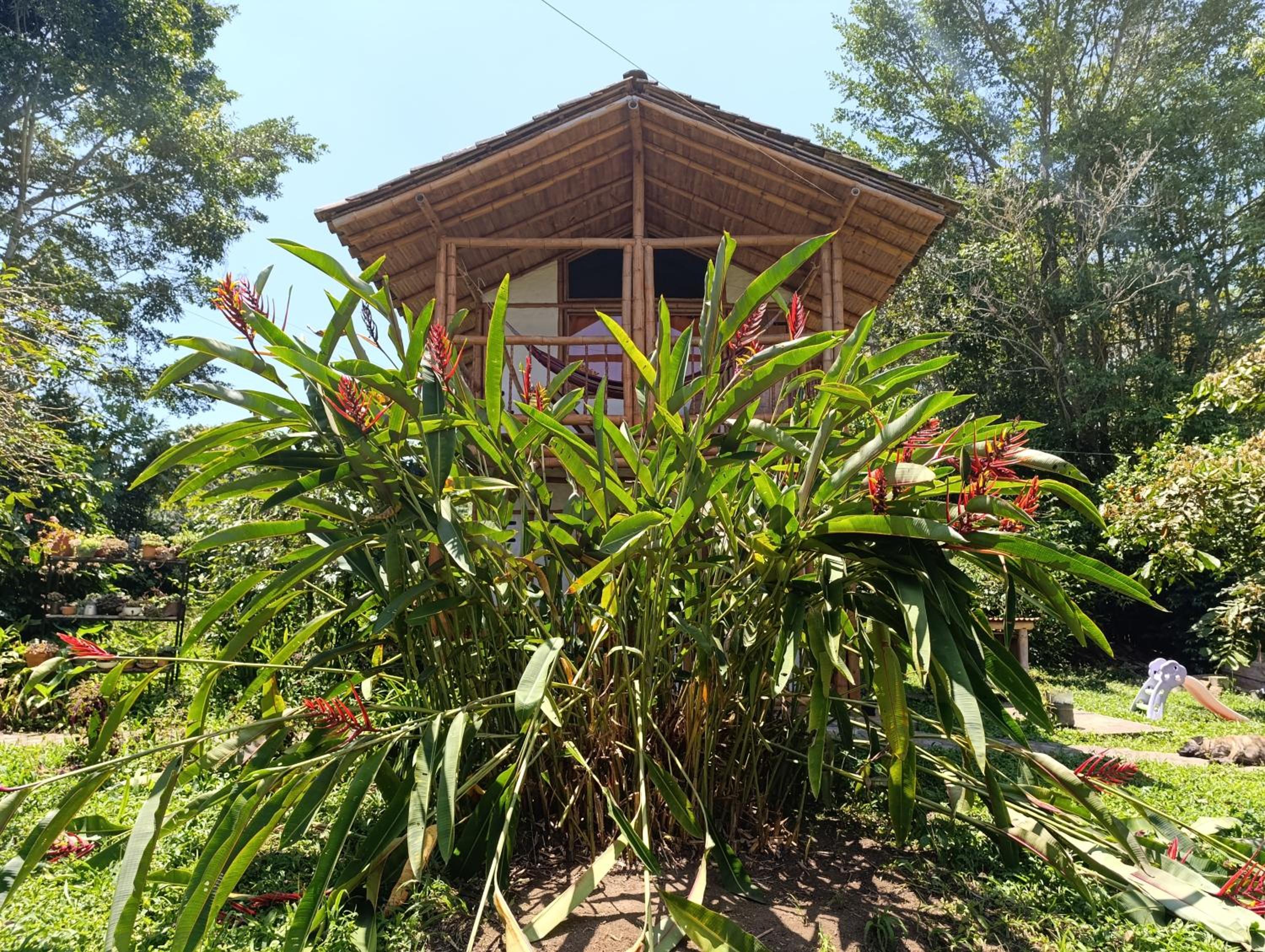 Cabaña Ecológica Finca Cometa