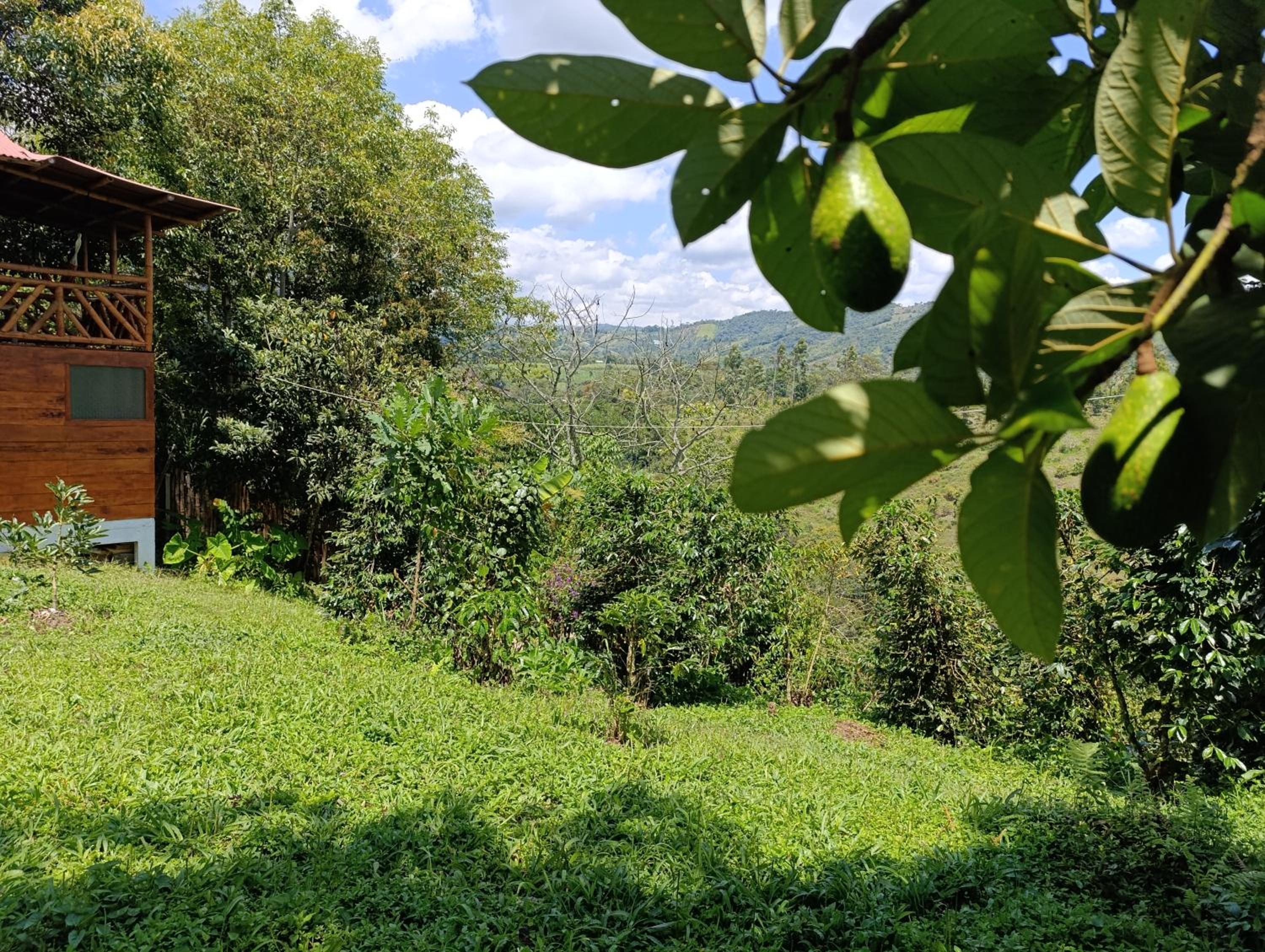 Cabaña Ecológica Finca Cometa