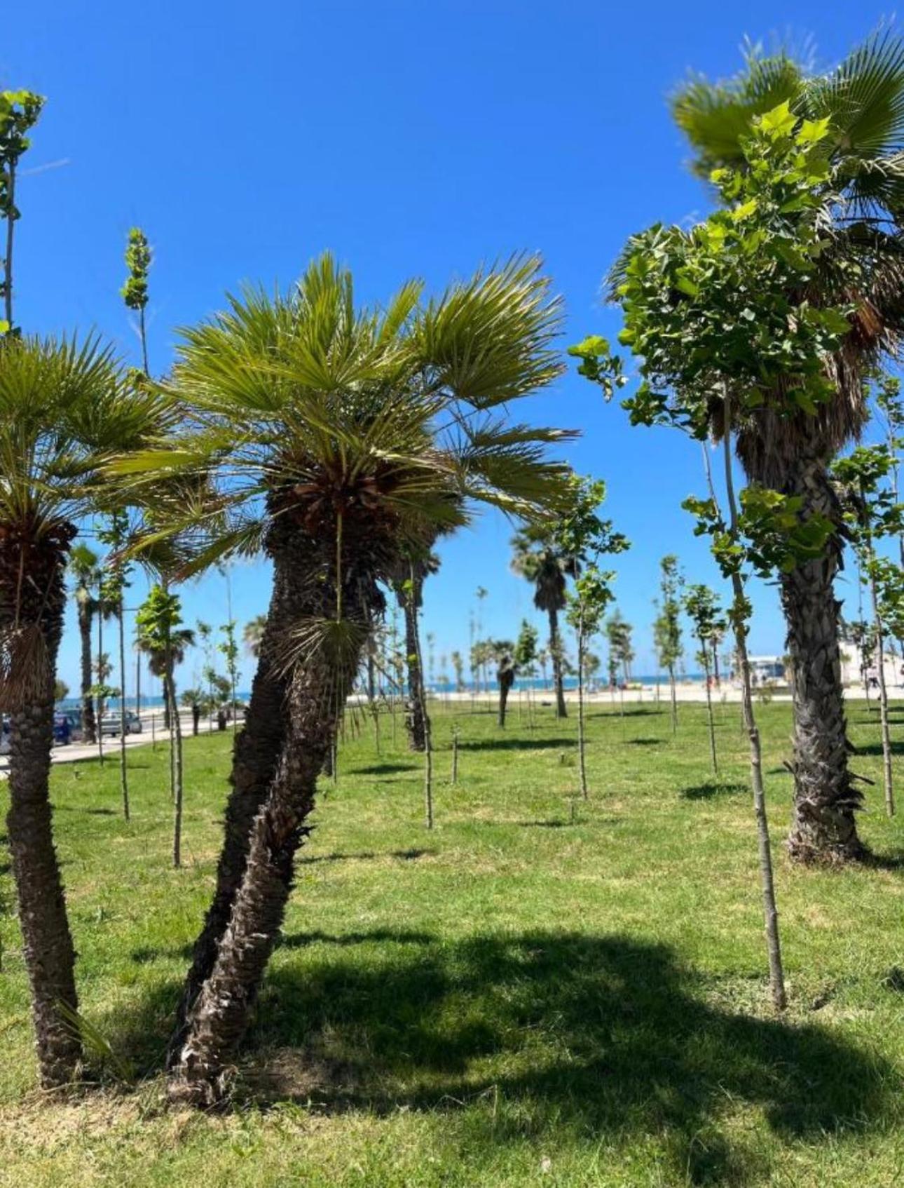 Apartments Qerret Golem beachfront