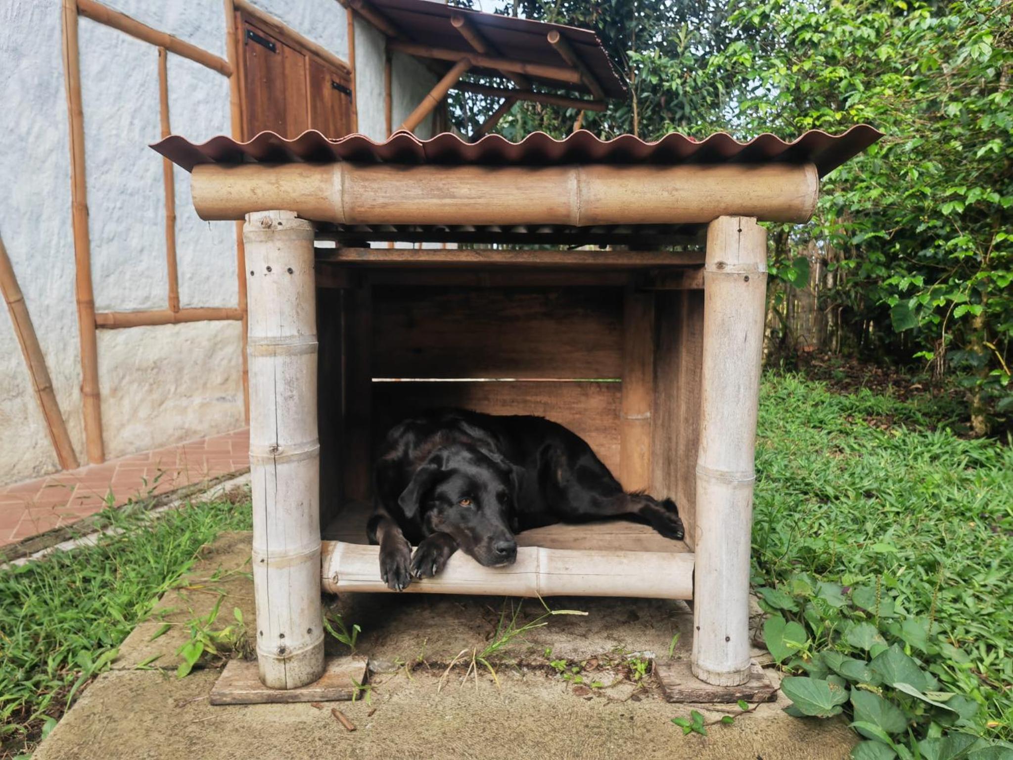 Cabaña Ecológica Finca Cometa