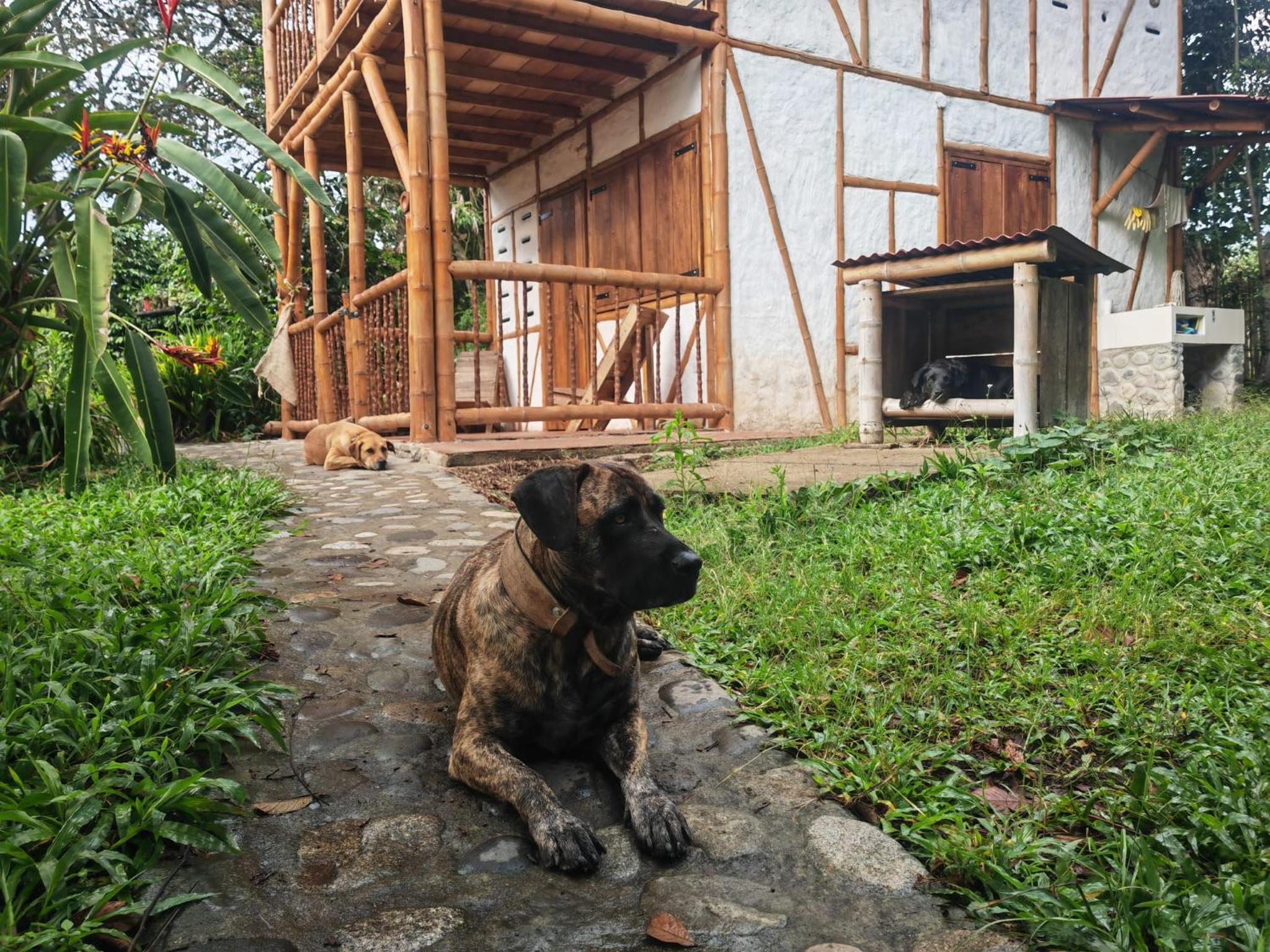 Cabaña Ecológica Finca Cometa