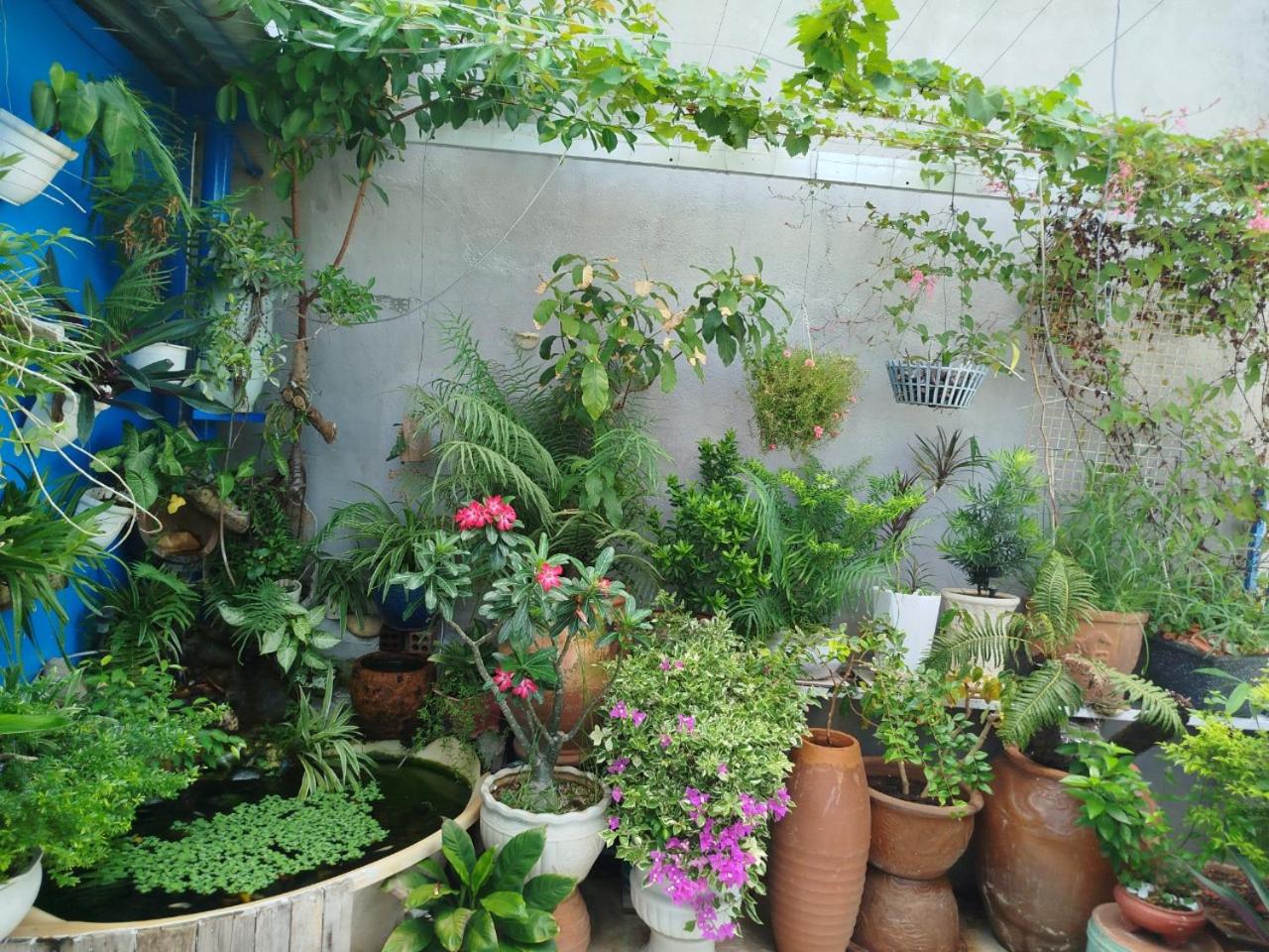 DŨNG VINH HOMESTAY bãi sau