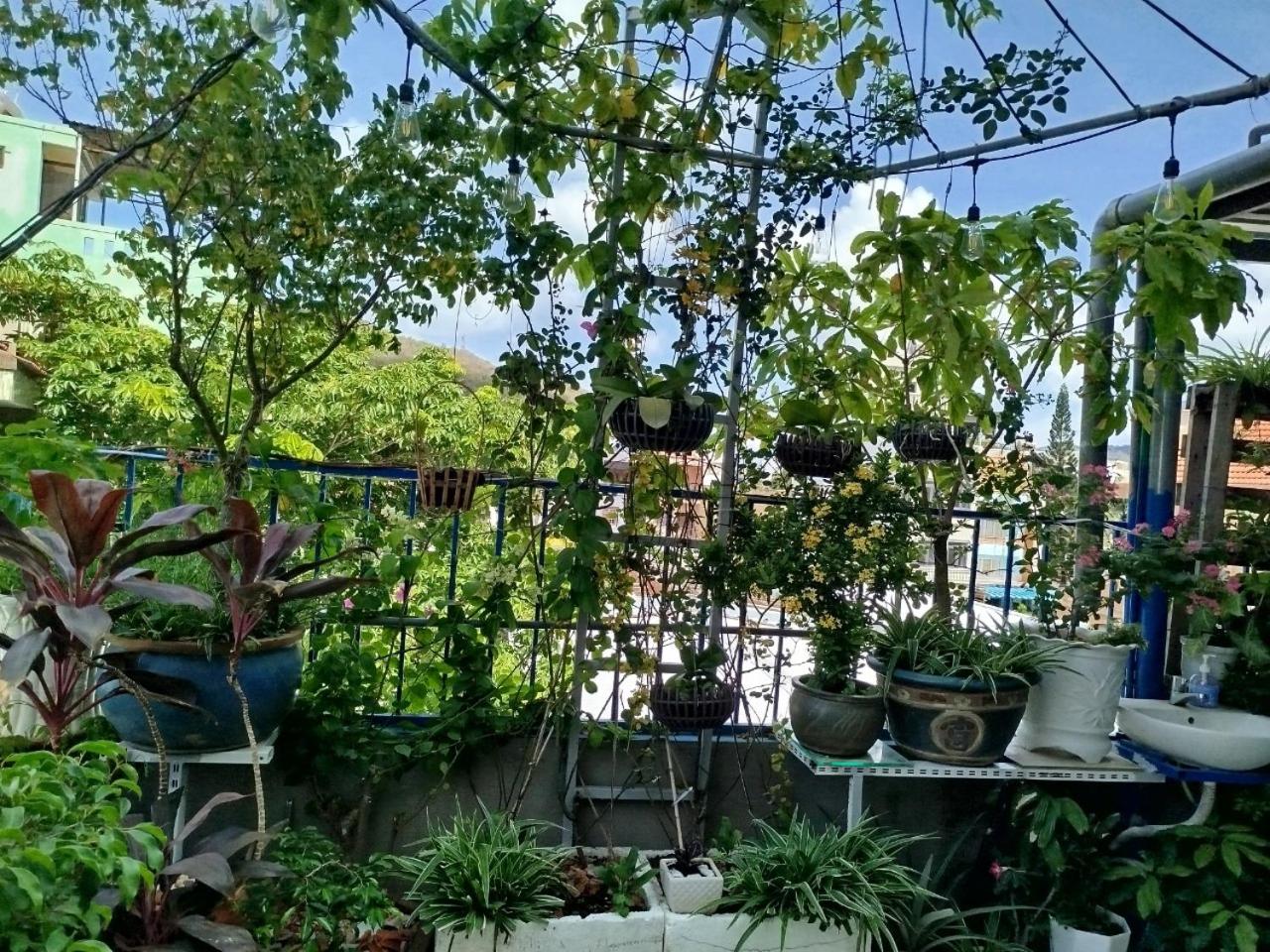 DŨNG VINH HOMESTAY bãi sau
