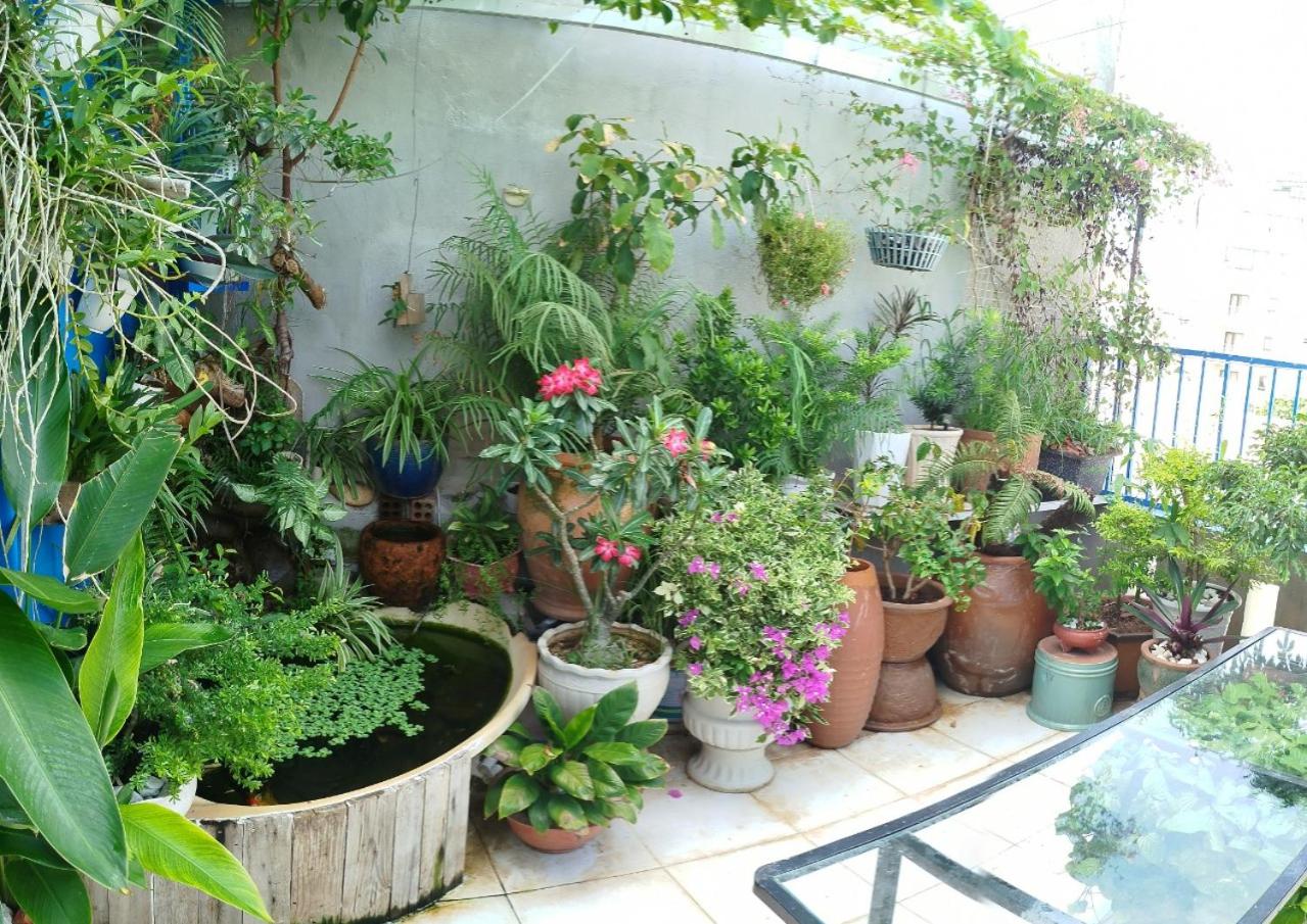 DŨNG VINH HOMESTAY bãi sau