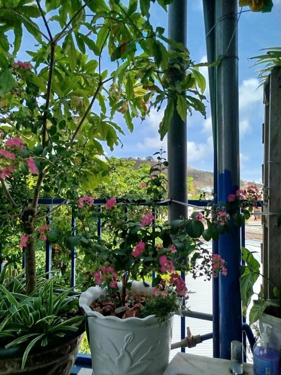 DŨNG VINH HOMESTAY bãi sau