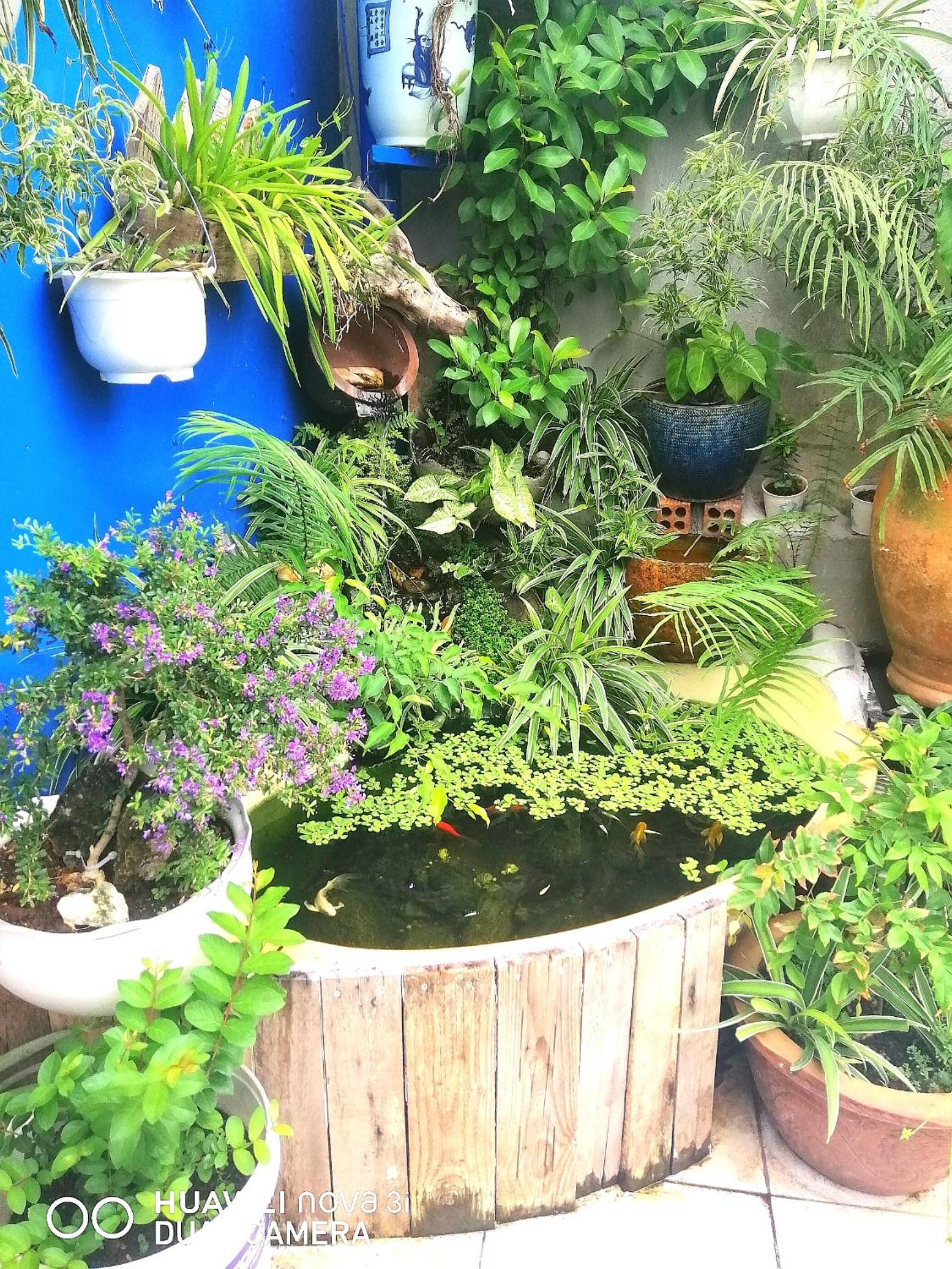 DŨNG VINH HOMESTAY bãi sau