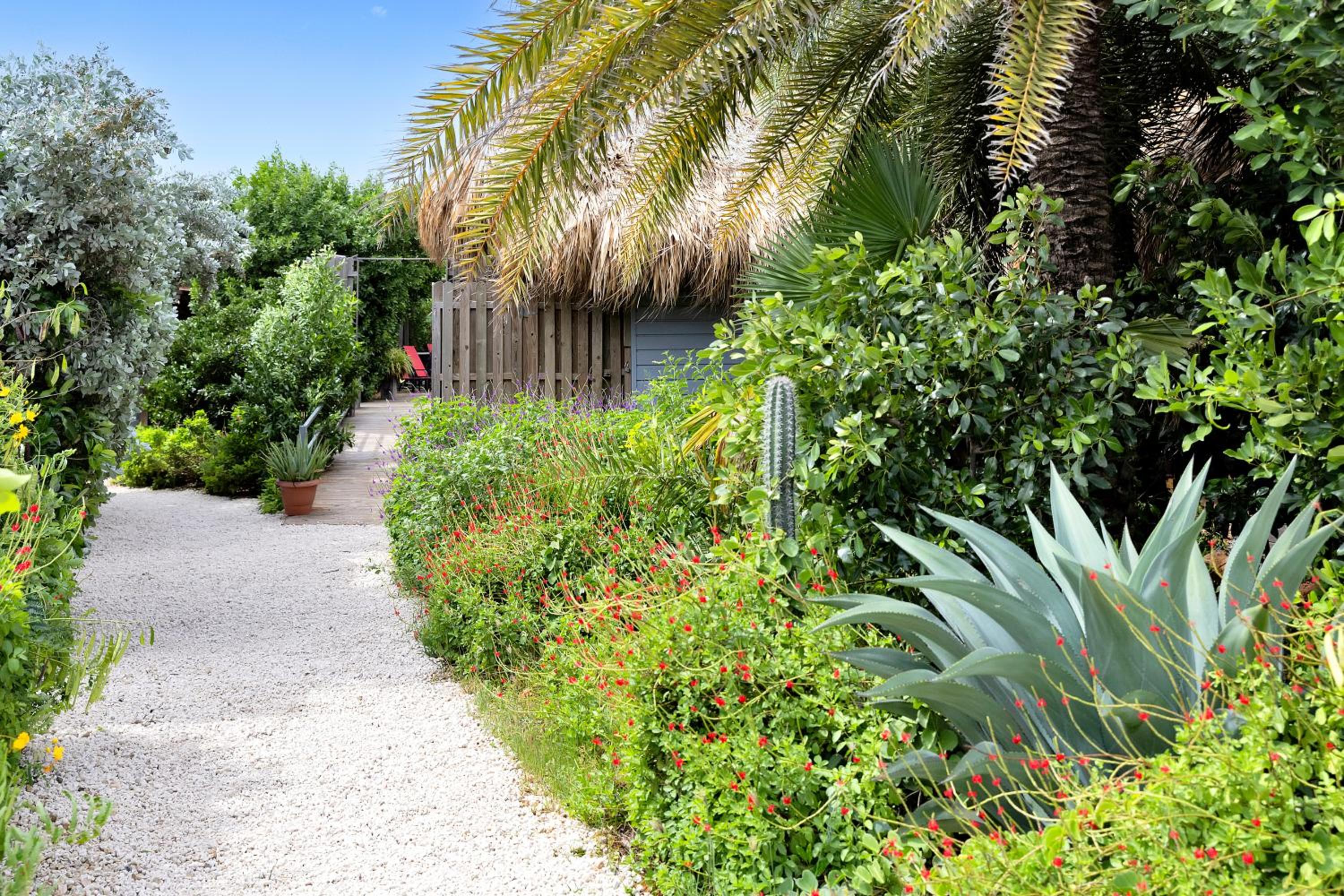 Red Palm Village
