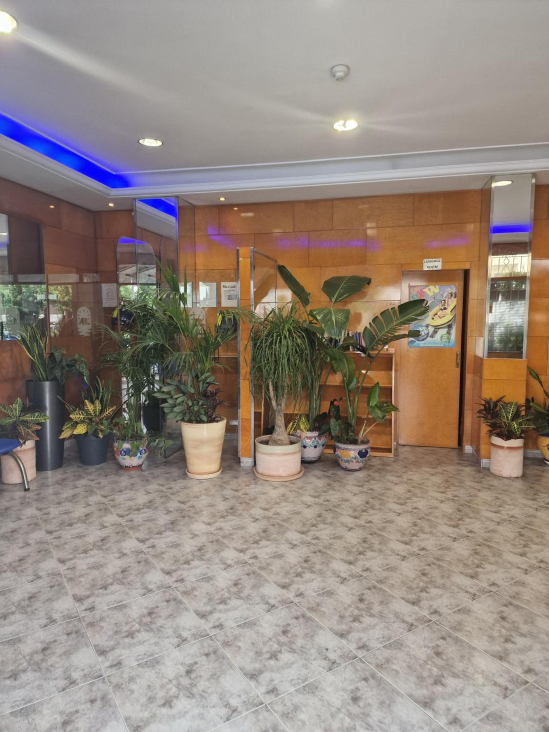 recepcion & lobby