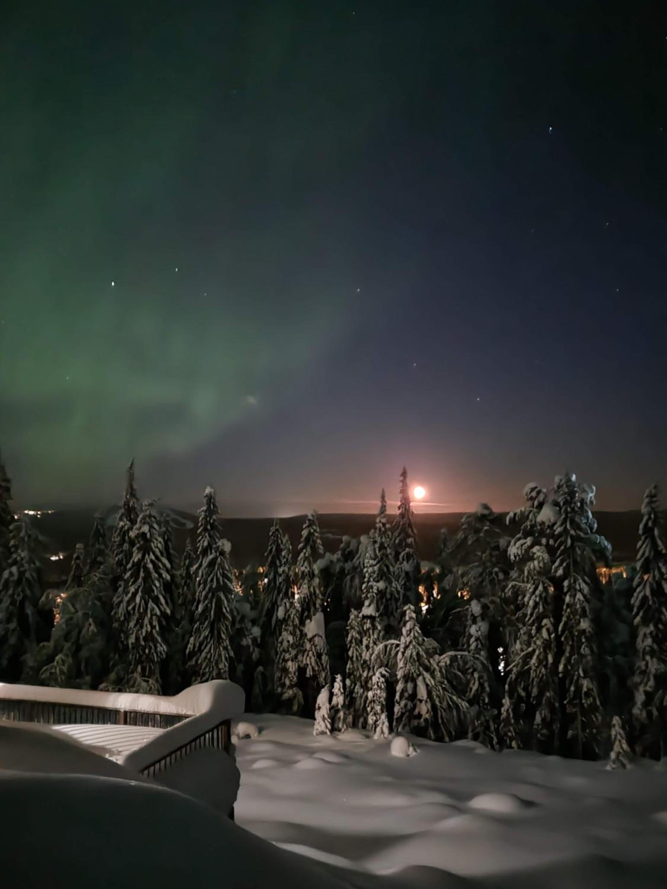 Villa Tykkykettu Iso-Syötteen rinteessä