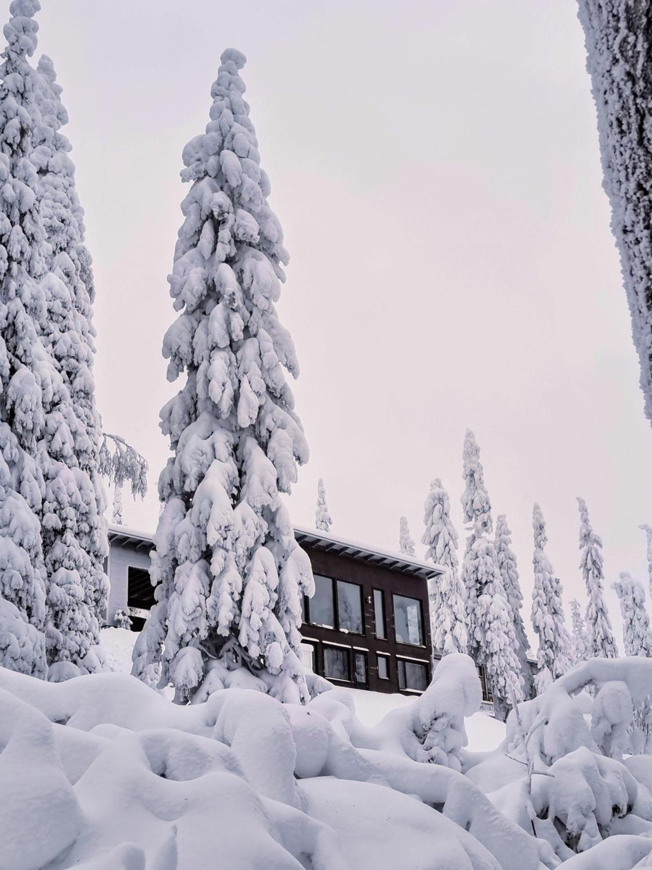 Villa Tykkykettu Iso-Syötteen rinteessä