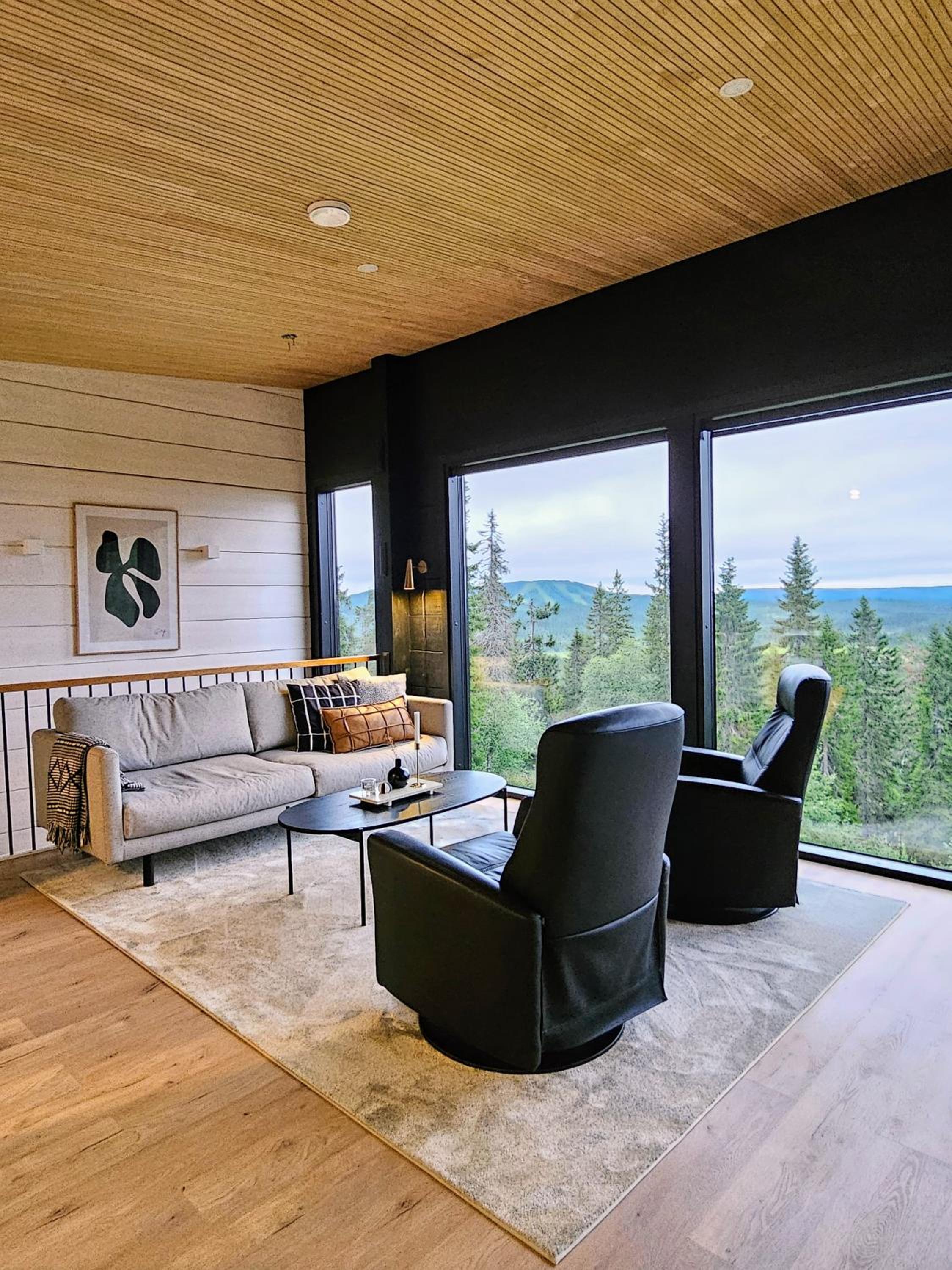 Villa Tykkykettu Iso-Syötteen rinteessä