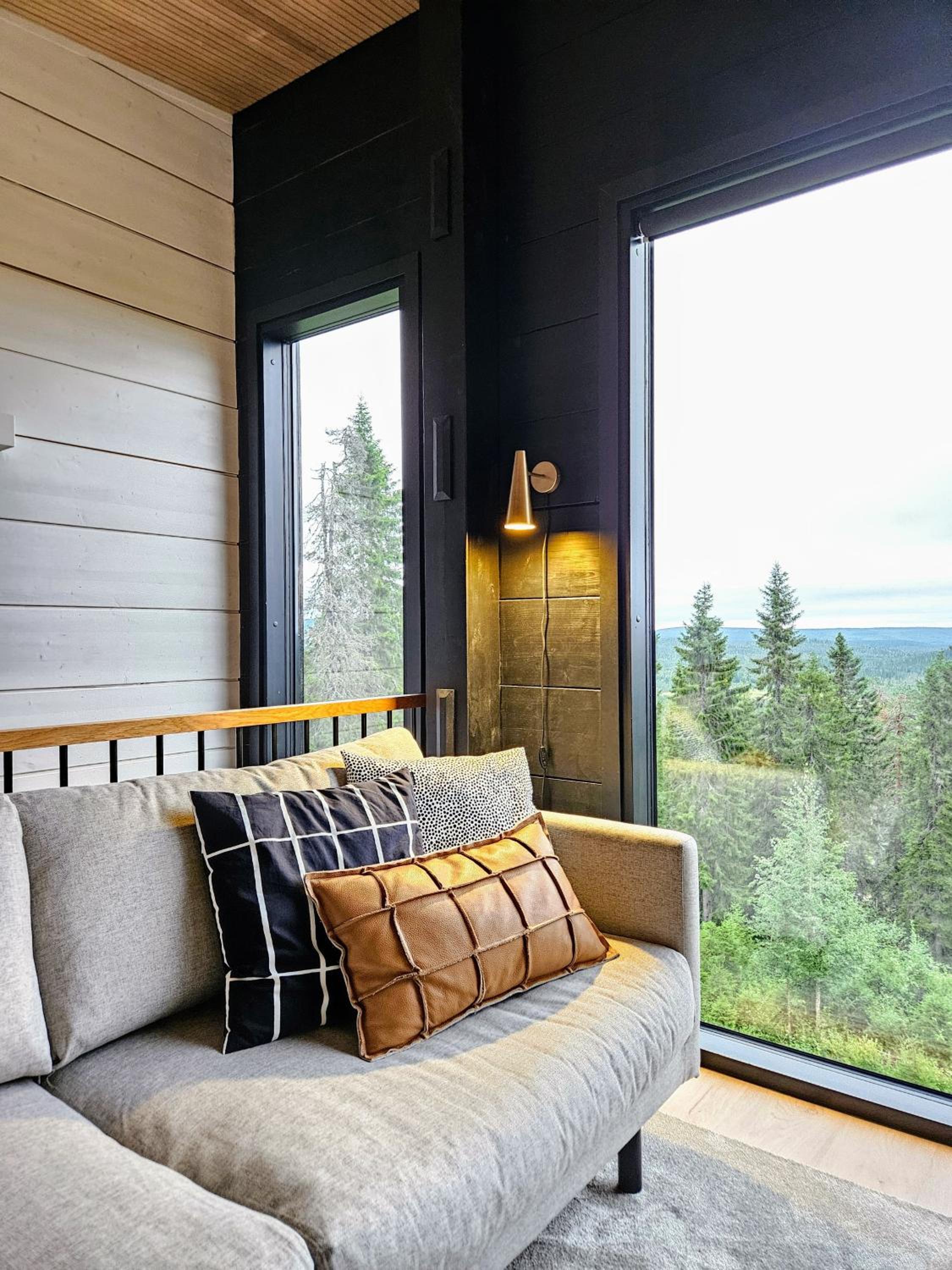 Villa Tykkykettu Iso-Syötteen rinteessä