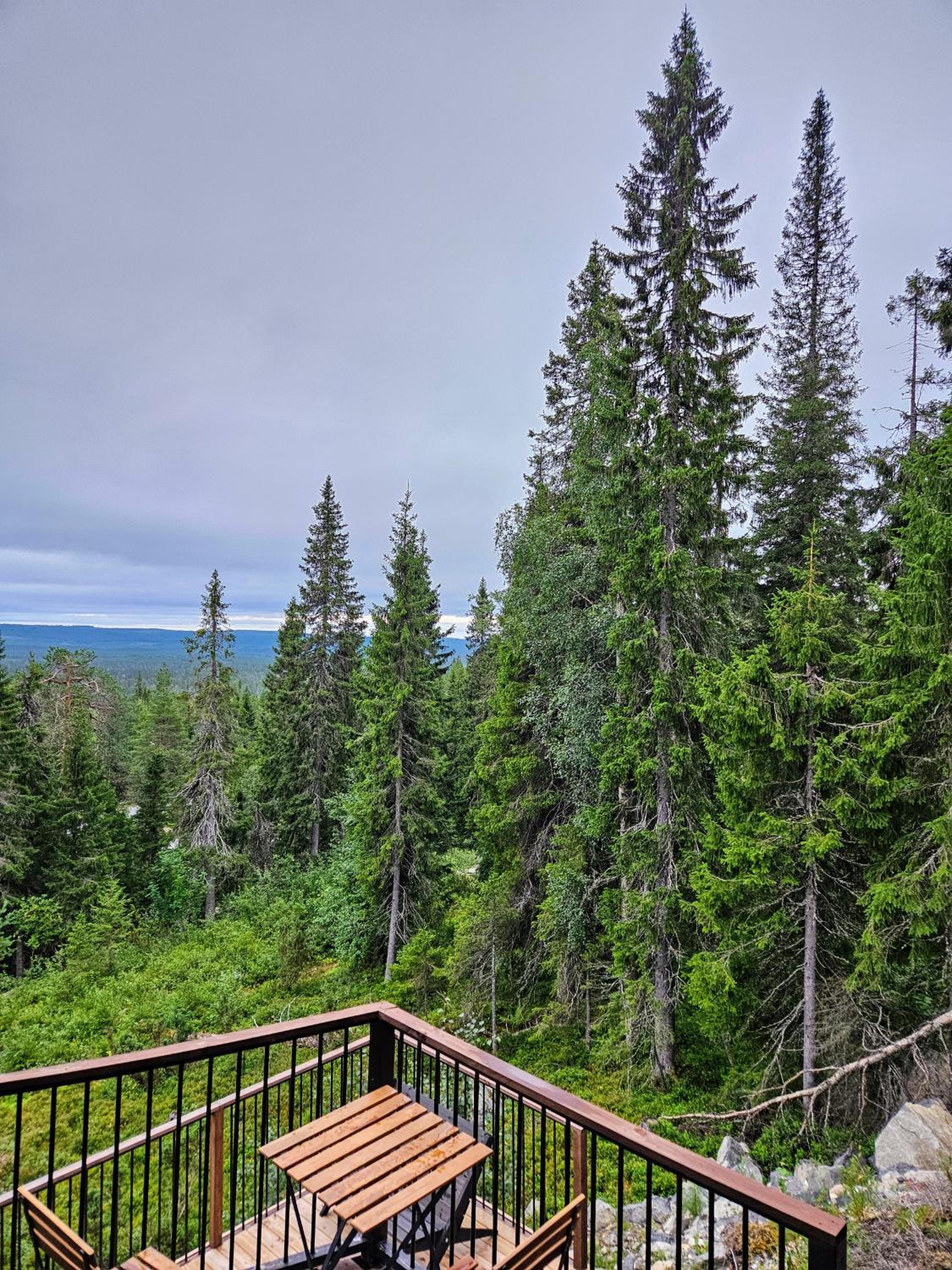 Villa Tykkykettu Iso-Syötteen rinteessä