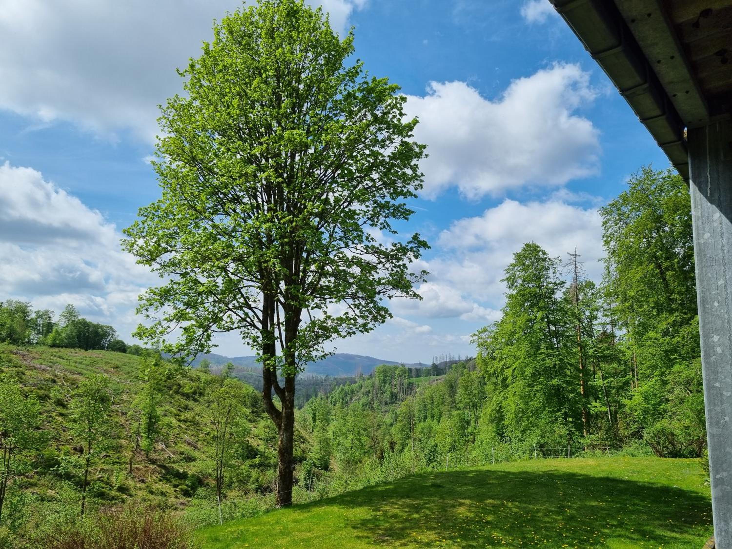 Ferienwohnung-Harzidyllisch