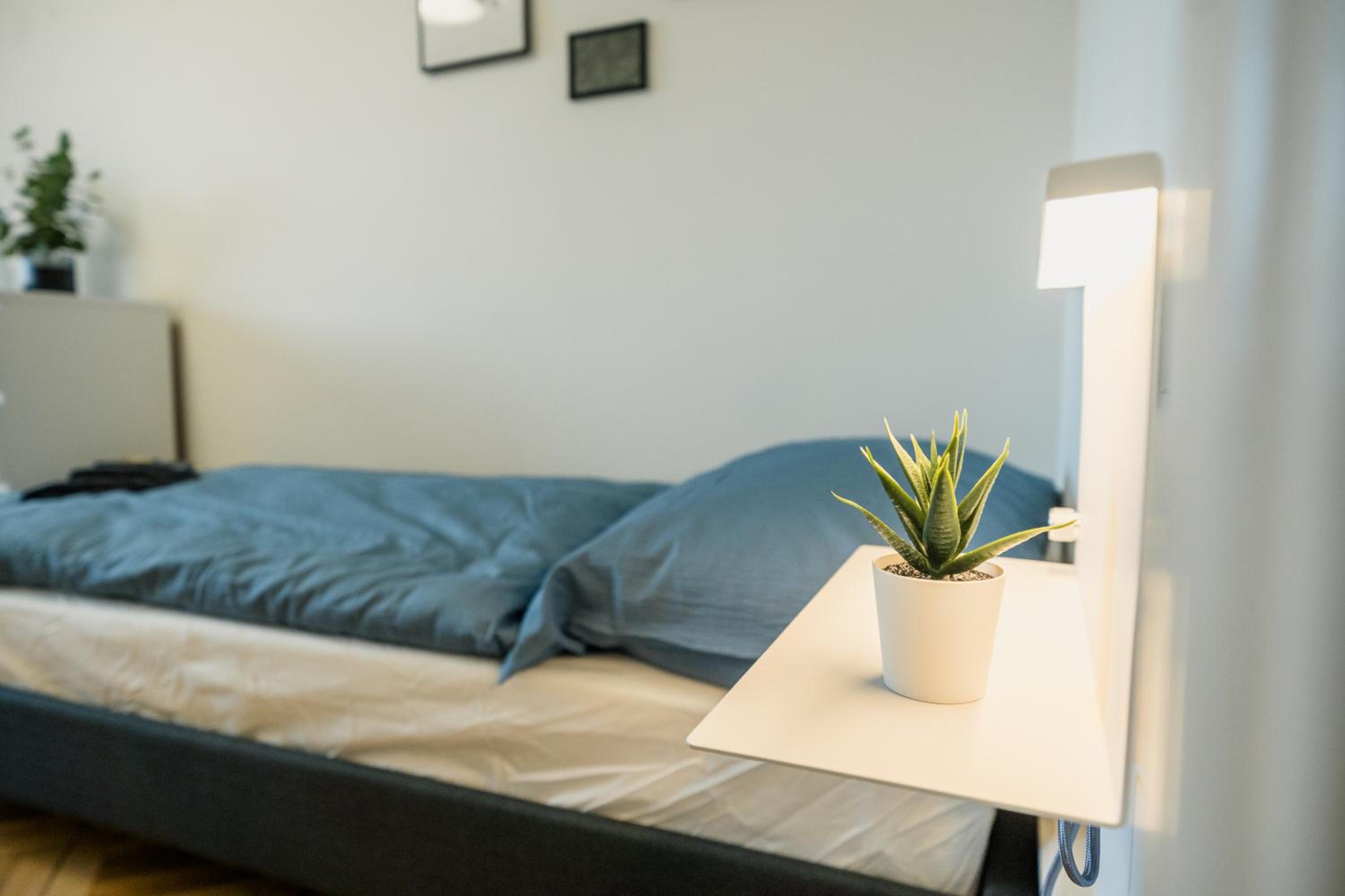 City Apartment with Rooftop Terrace