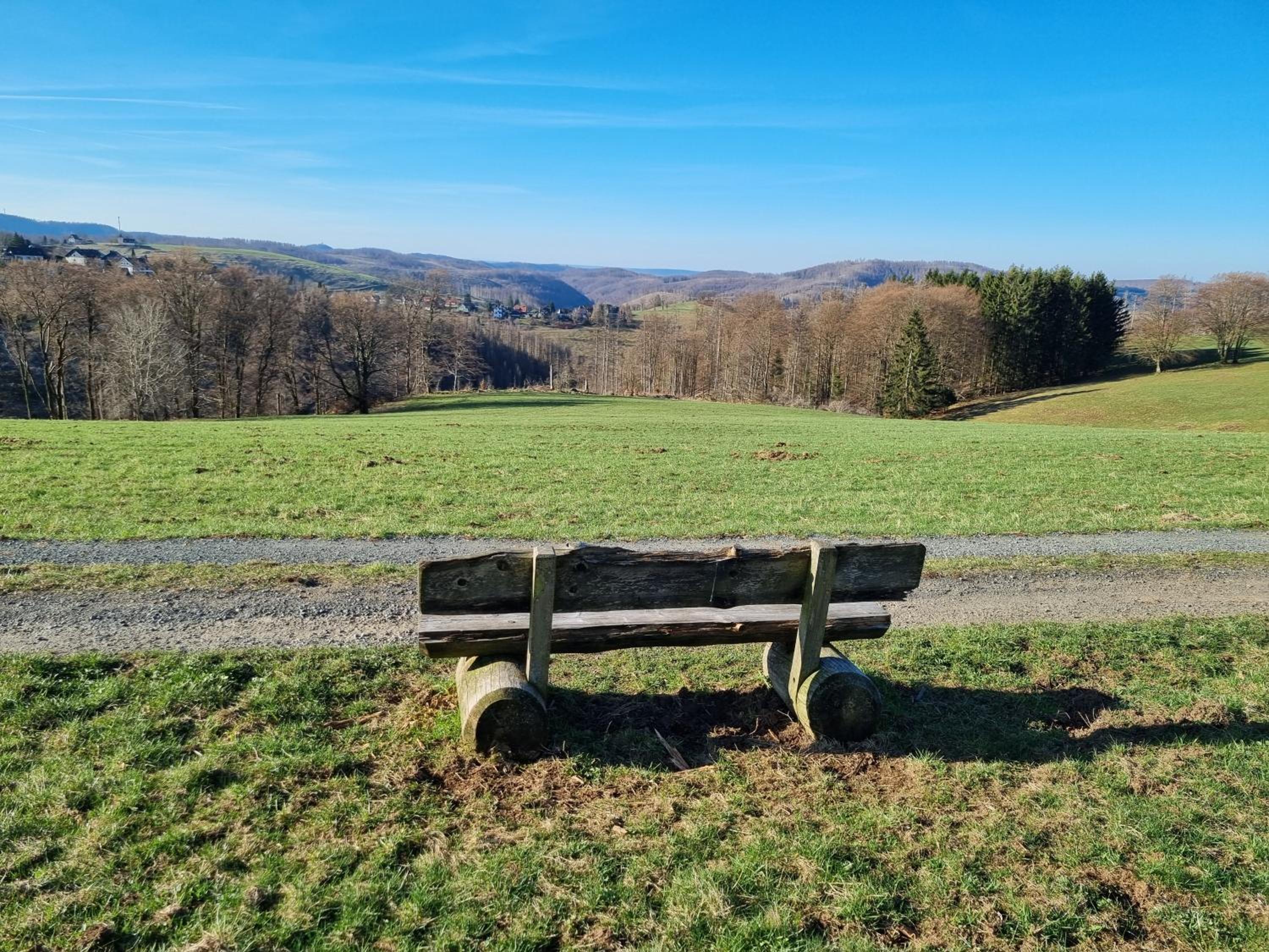 Ferienwohnung-Harzidyllisch