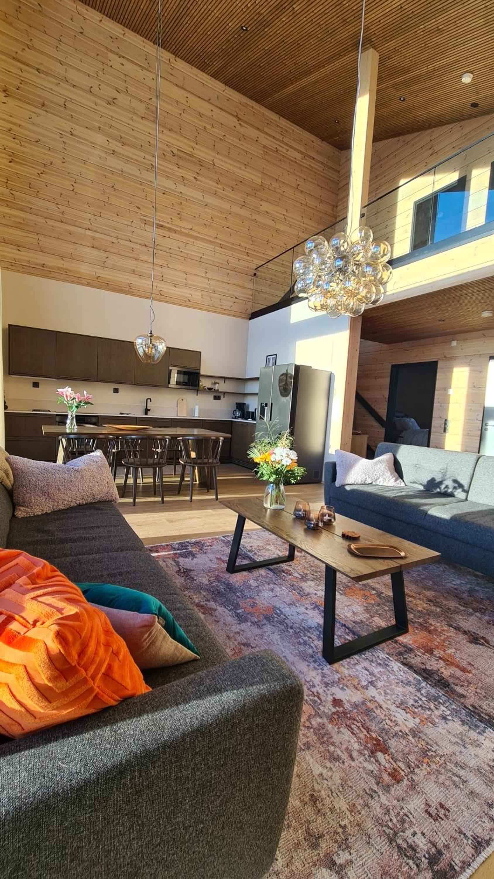 Levi Frame Valkiava Villa